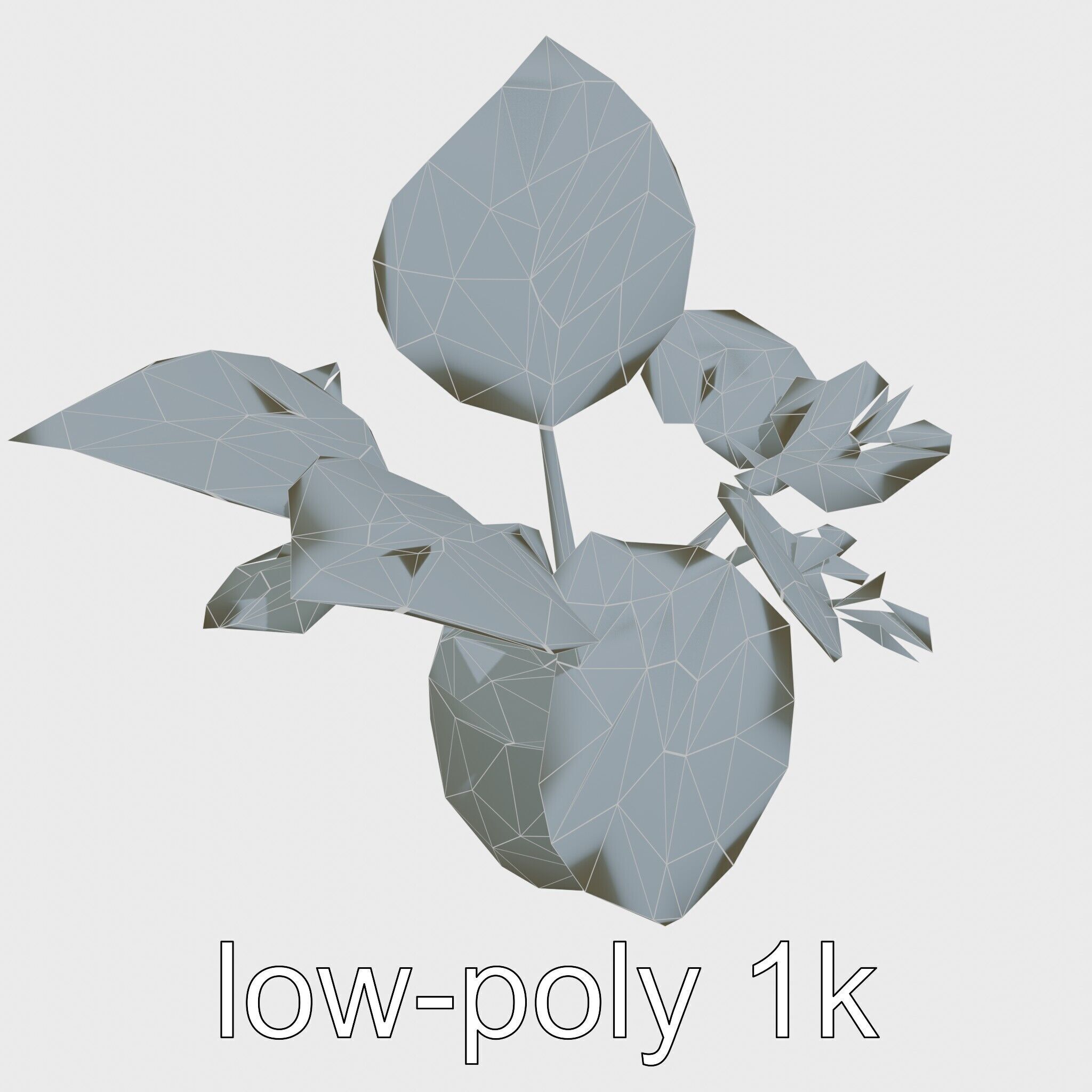 Potted Alocasia Luxurious Decorative model pack Low-poly 3D model_32