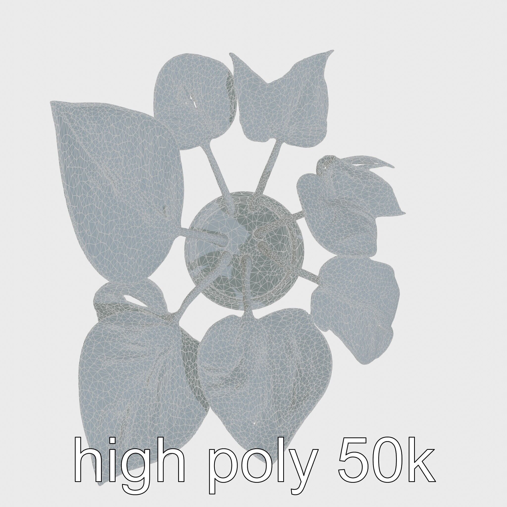 Potted Alocasia Luxurious Decorative model pack Low-poly 3D model_28