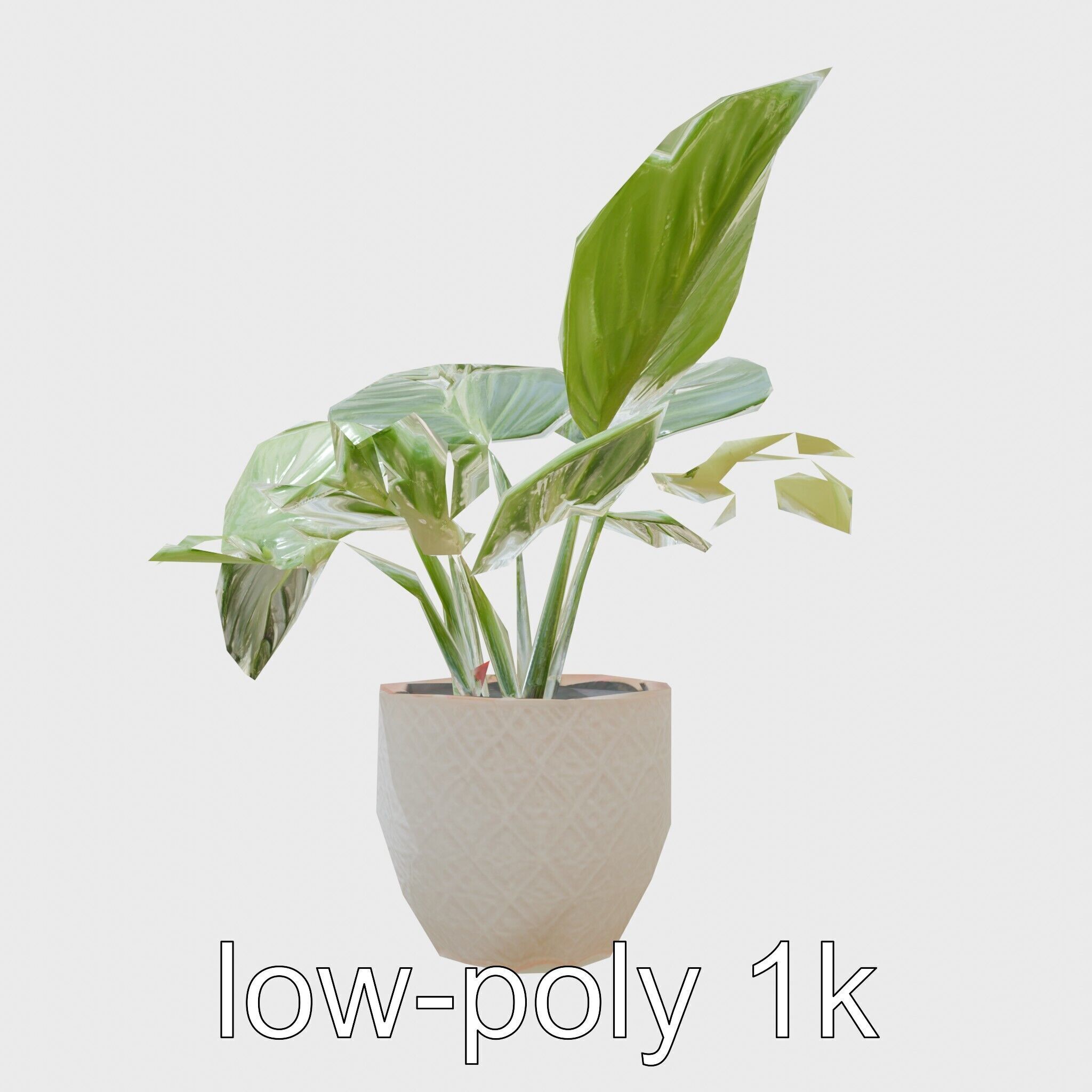 Potted Alocasia Luxurious Decorative model pack Low-poly 3D model_13