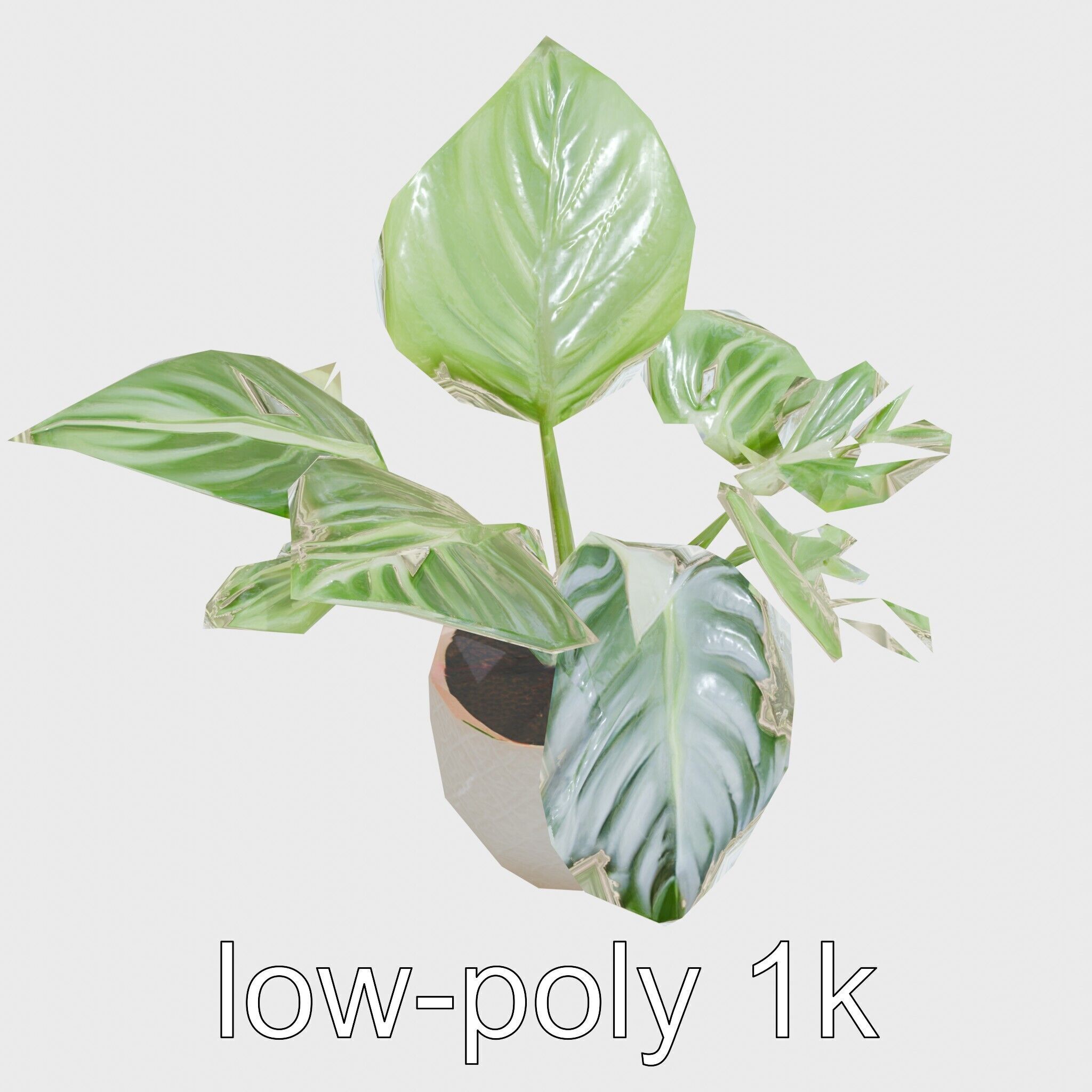 Potted Alocasia Luxurious Decorative model pack Low-poly 3D model_24