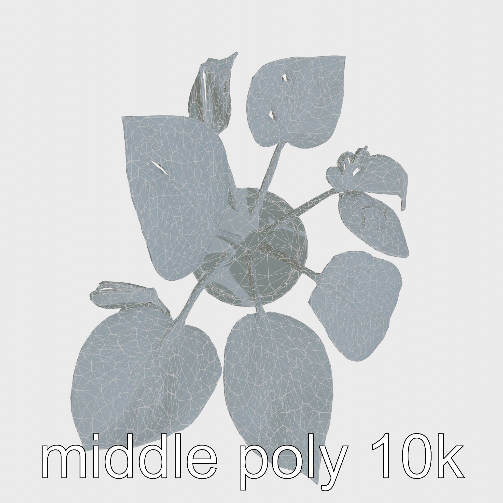 Potted Alocasia Luxurious Decorative model pack Low-poly 3D model_27