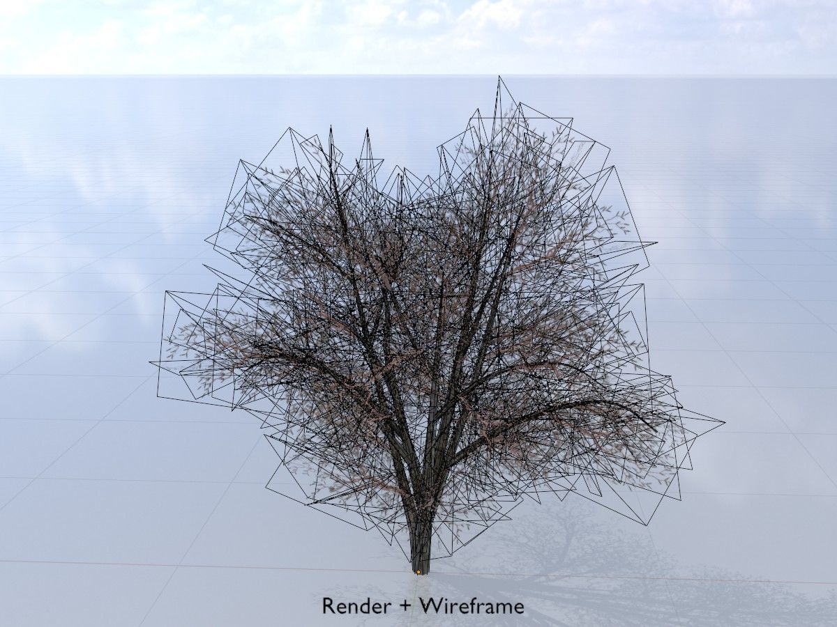 Hazelnut Tree Winter Package 3D Model Collection_15