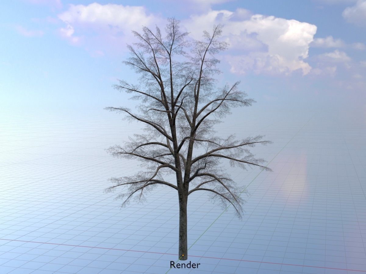 Hazelnut Tree Winter Package 3D Model Collection_89