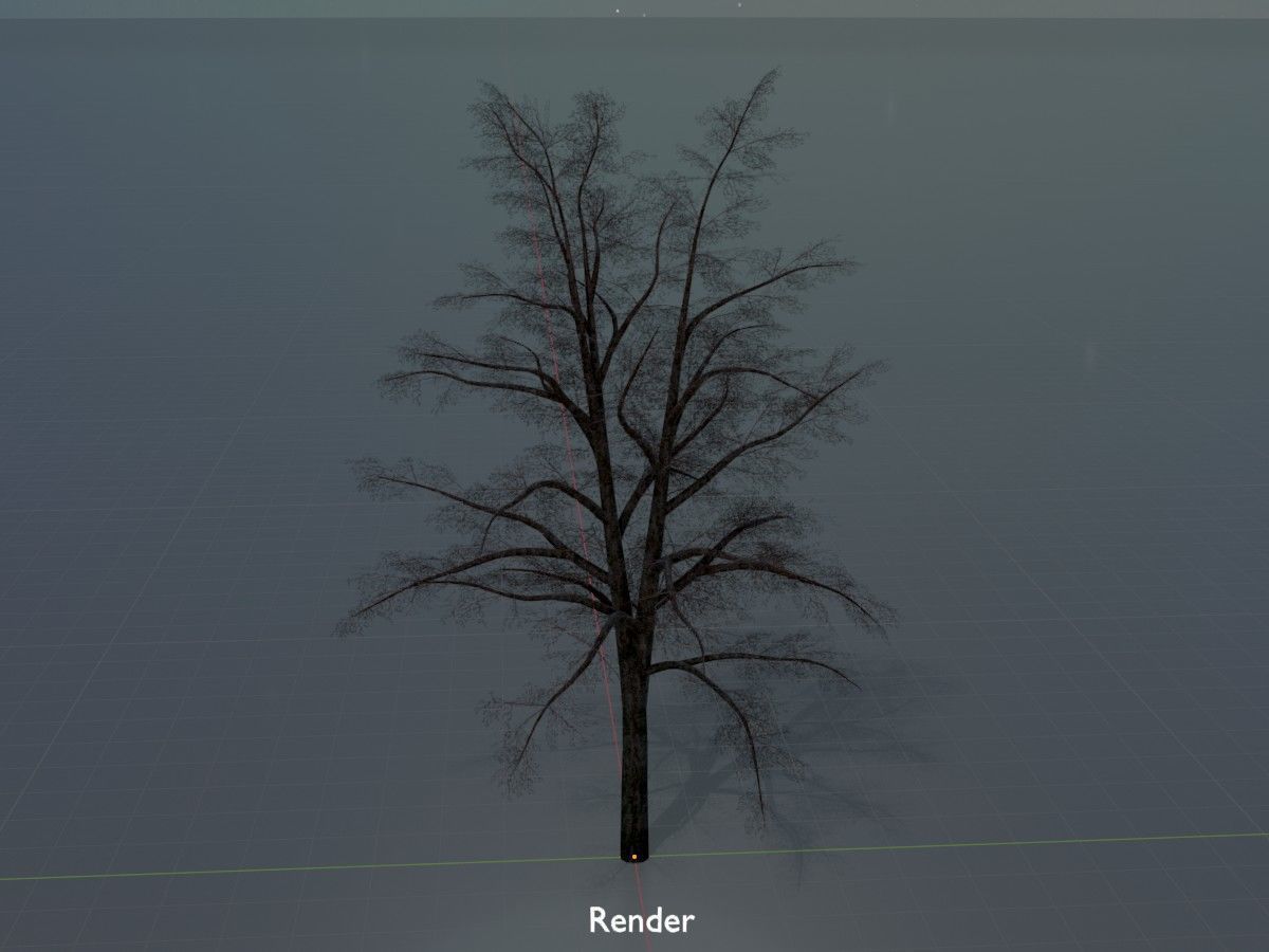 Hazelnut Tree Winter Package 3D Model Collection_86