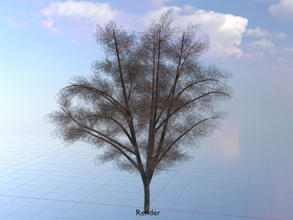 Hazelnut Tree Winter Package 3D Model Collection_69