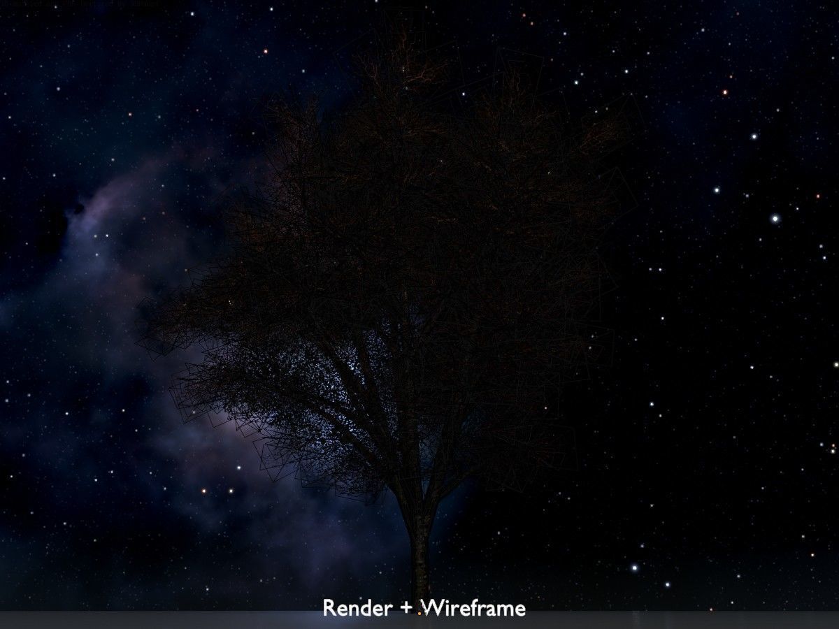 Hazelnut Tree Winter Package 3D Model Collection_57