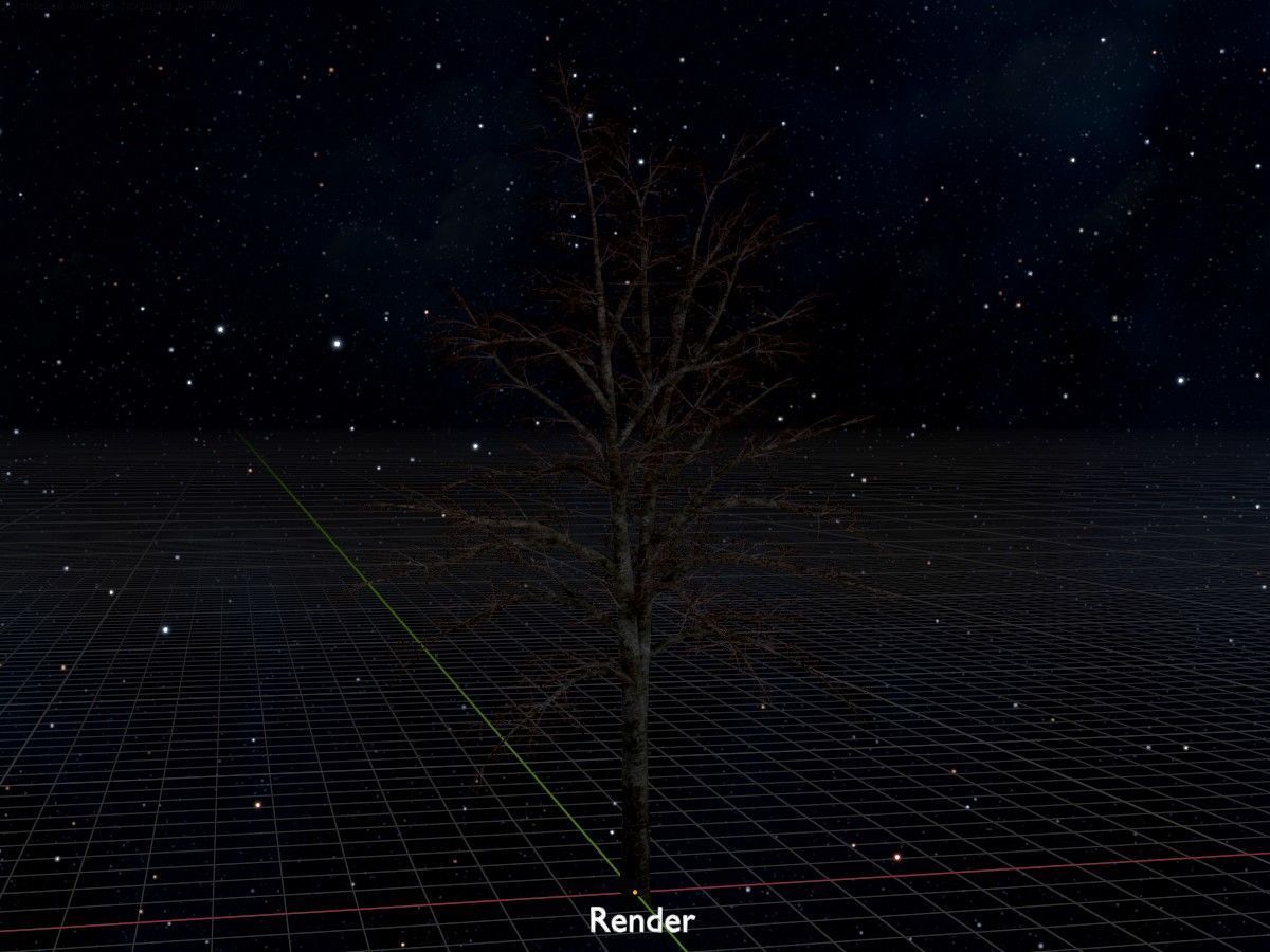 Hazelnut Tree Winter Package 3D Model Collection_87