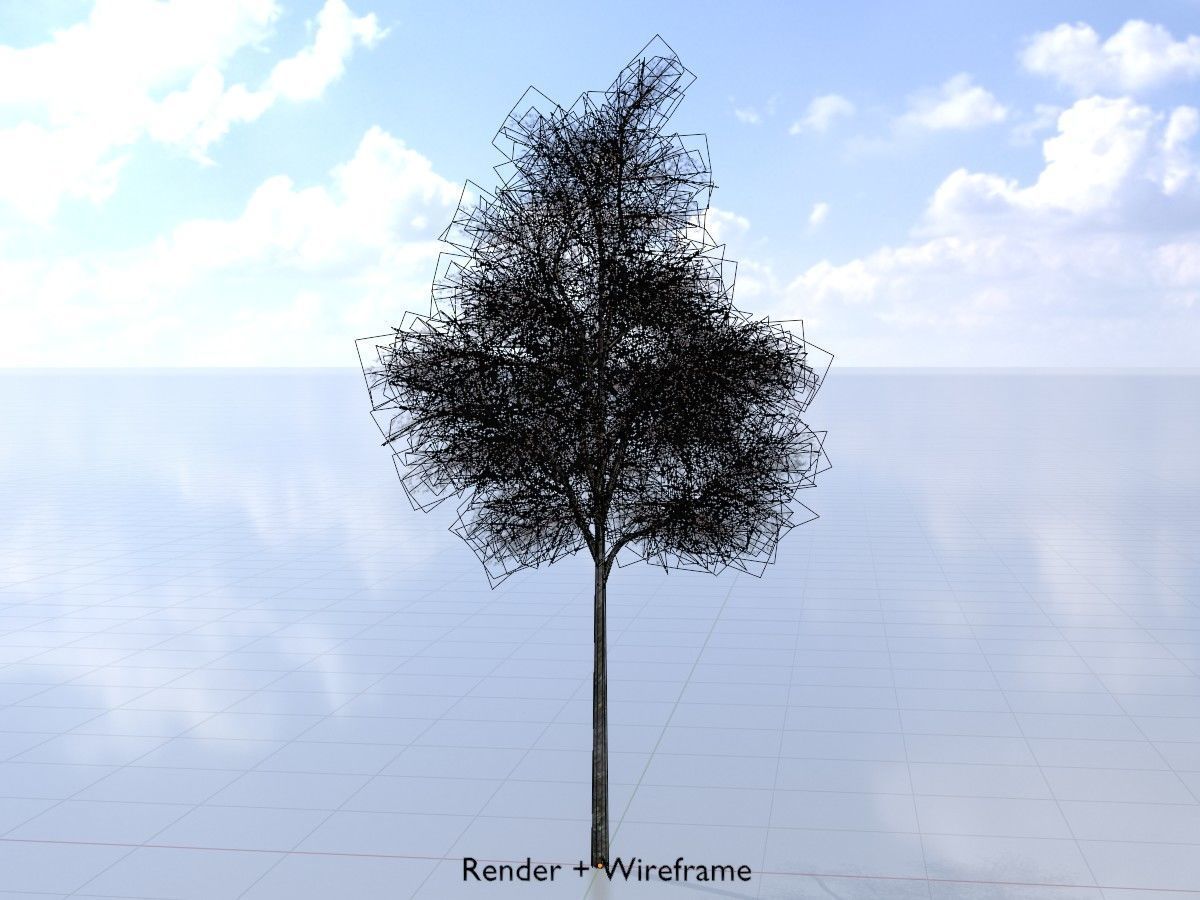 Hazelnut Tree Winter Package 3D Model Collection_35