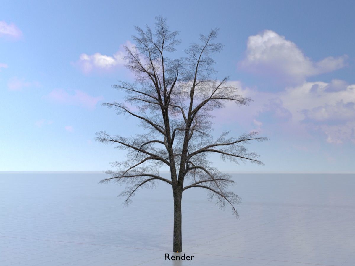 Hazelnut Tree Winter Package 3D Model Collection_85