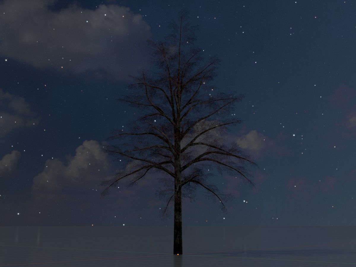 Hazelnut Tree Winter Package 3D Model Collection_74