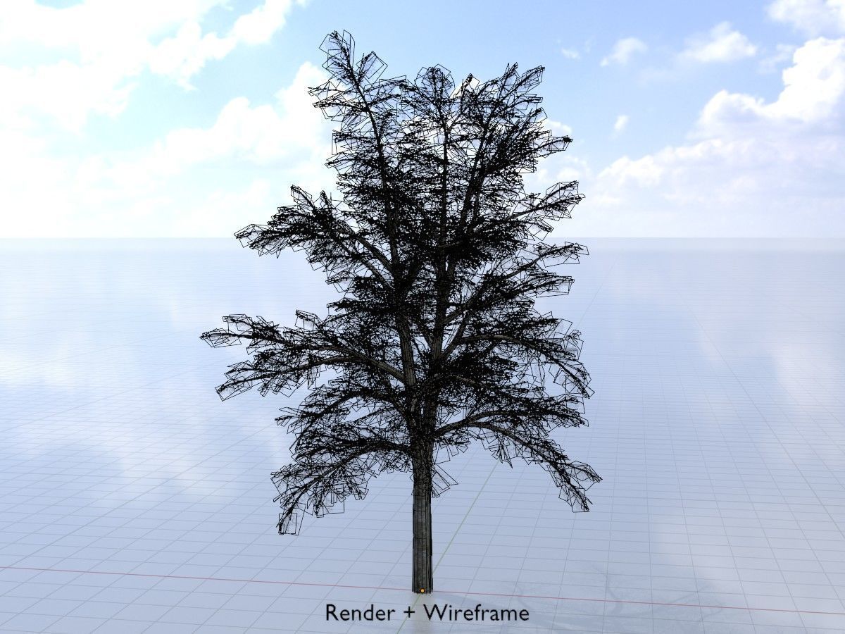 Hazelnut Tree Winter Package 3D Model Collection_75