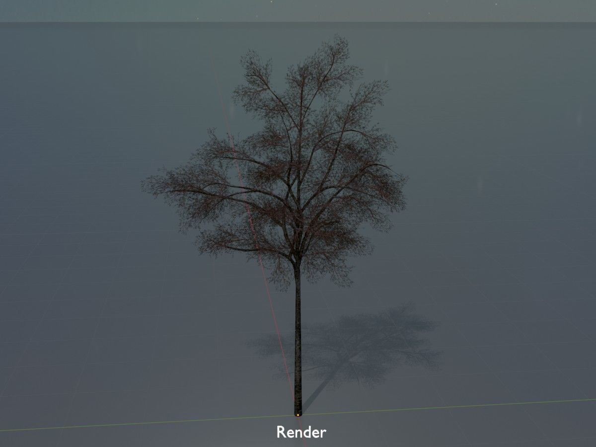 Hazelnut Tree Winter Package 3D Model Collection_46