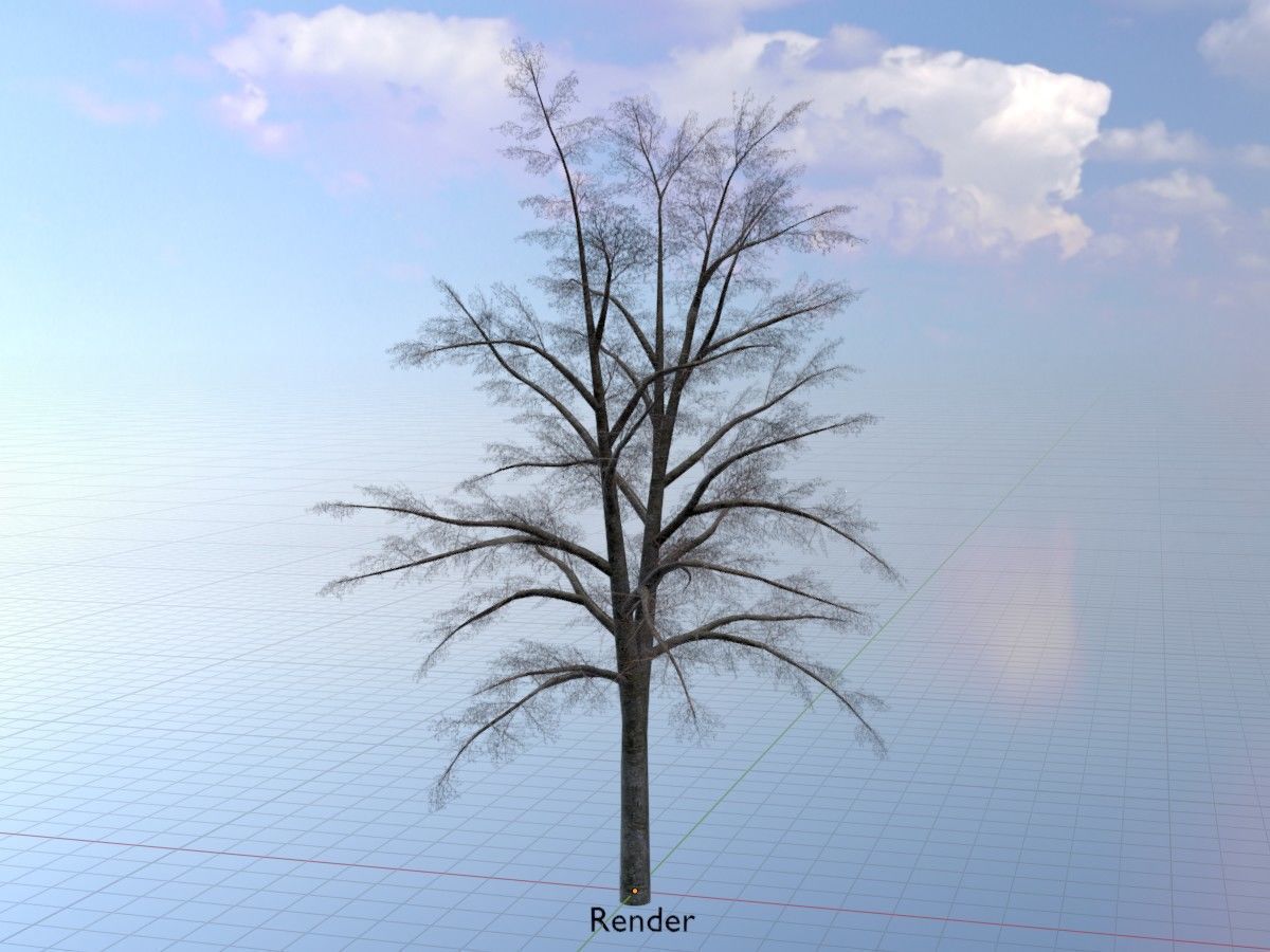 Hazelnut Tree Winter Package 3D Model Collection_109