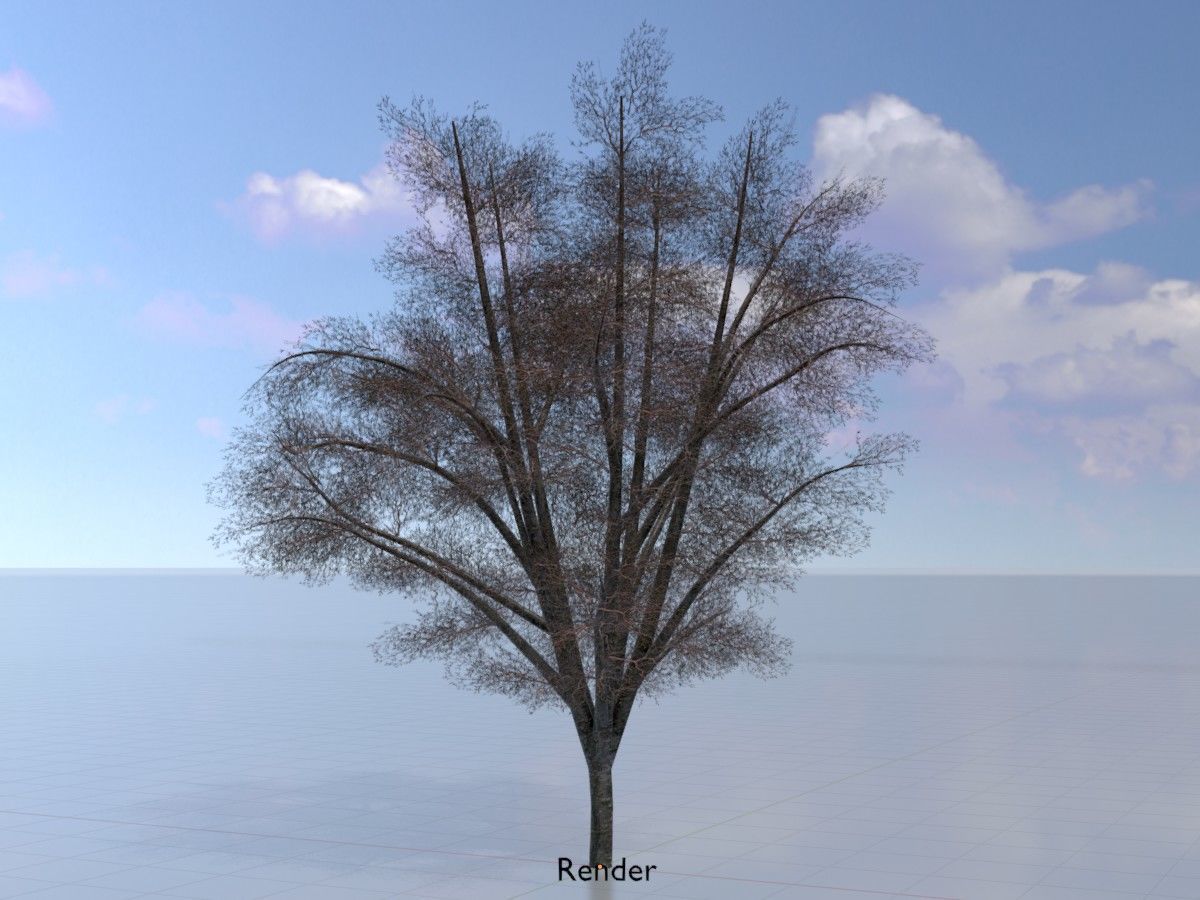 Hazelnut Tree Winter Package 3D Model Collection_65
