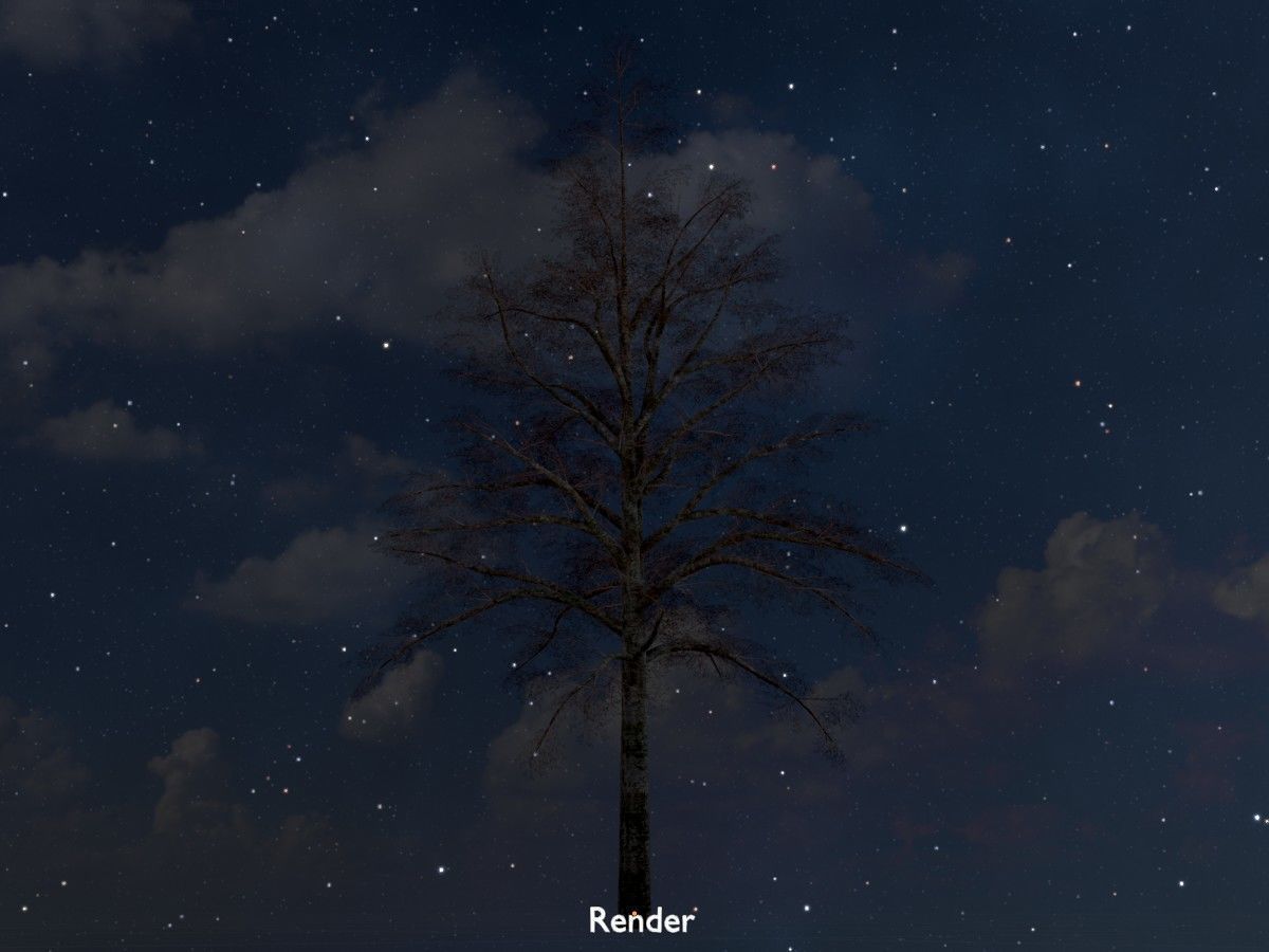 Hazelnut Tree Winter Package 3D Model Collection_90