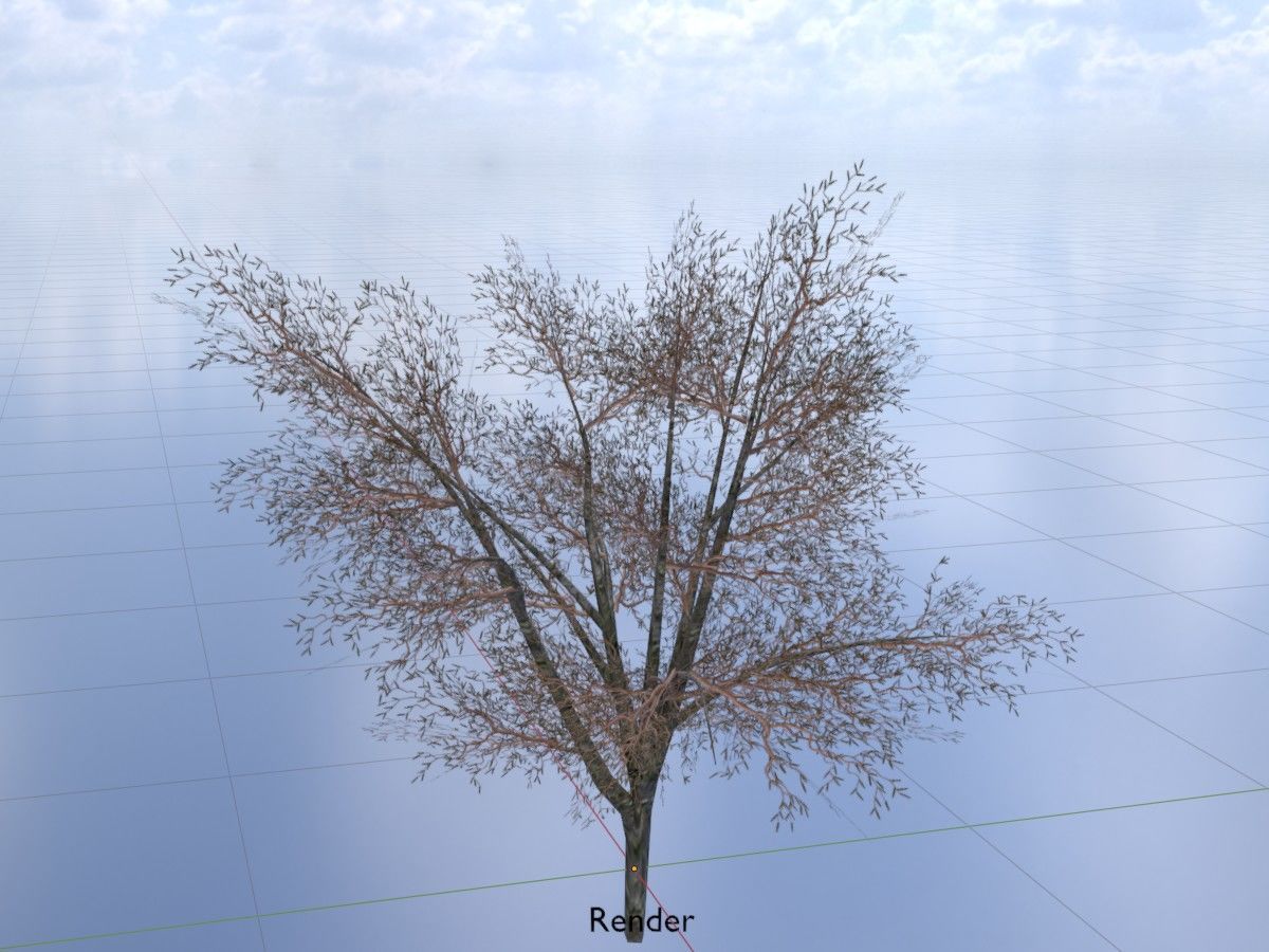 Hazelnut Tree Winter Package 3D Model Collection_28