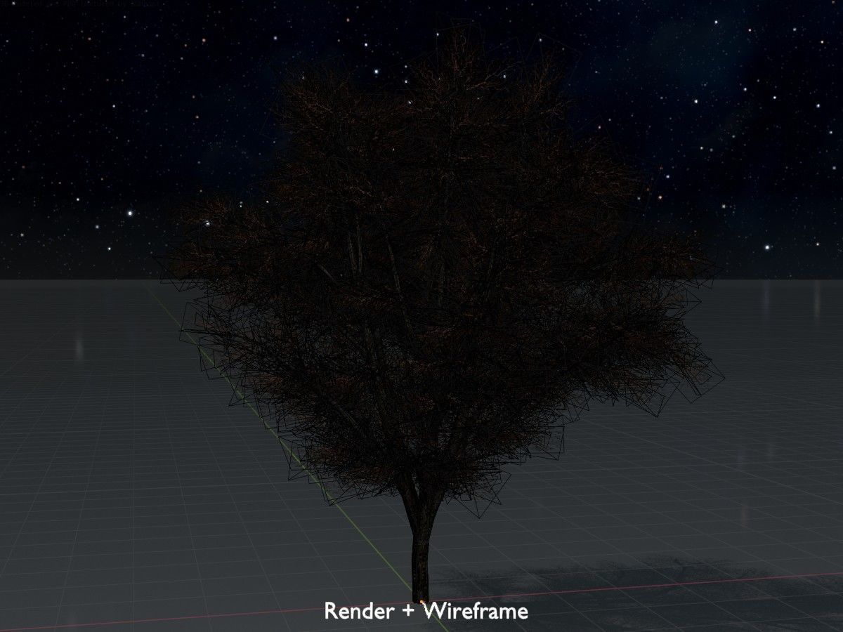 Hazelnut Tree Winter Package 3D Model Collection_58