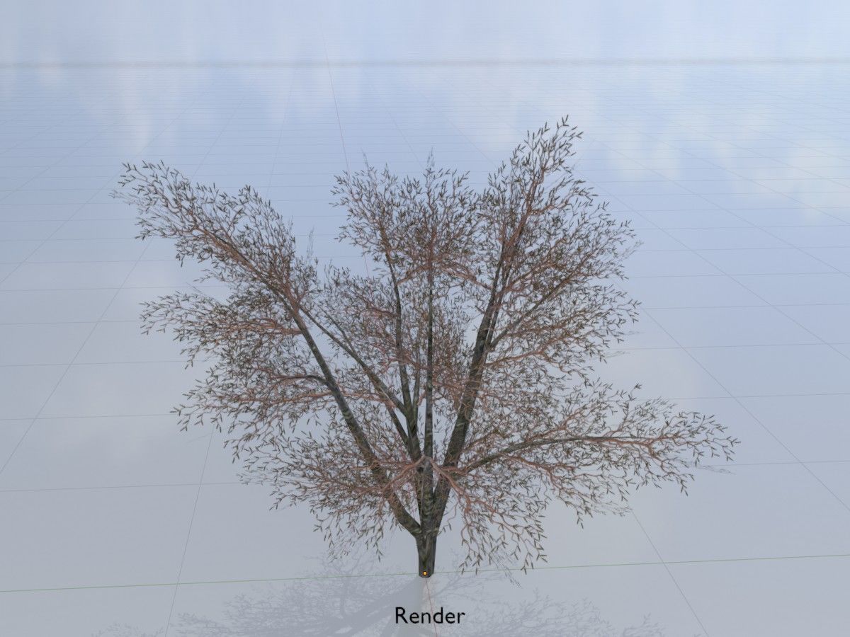 Hazelnut Tree Winter Package 3D Model Collection_24