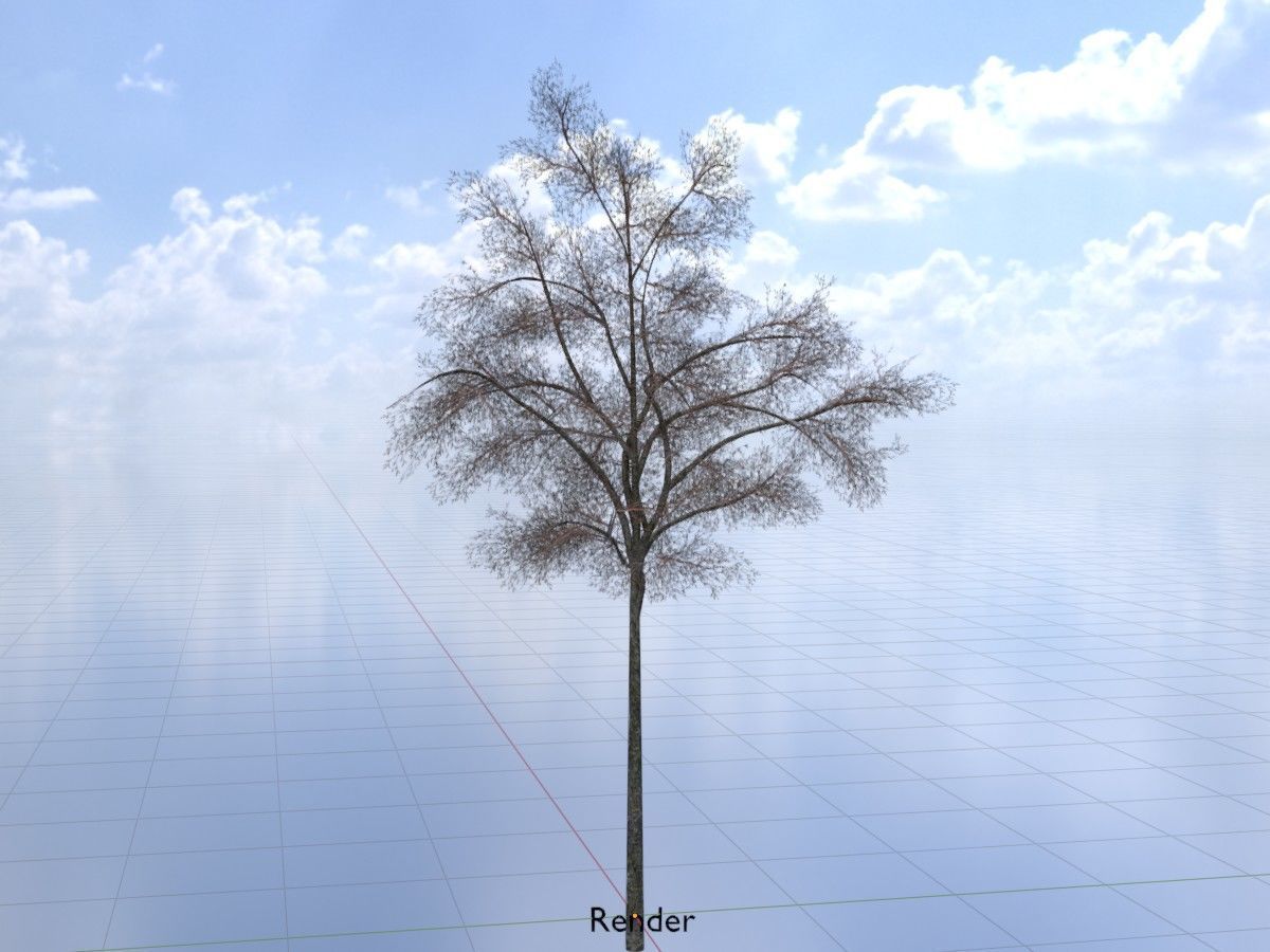 Hazelnut Tree Winter Package 3D Model Collection_48