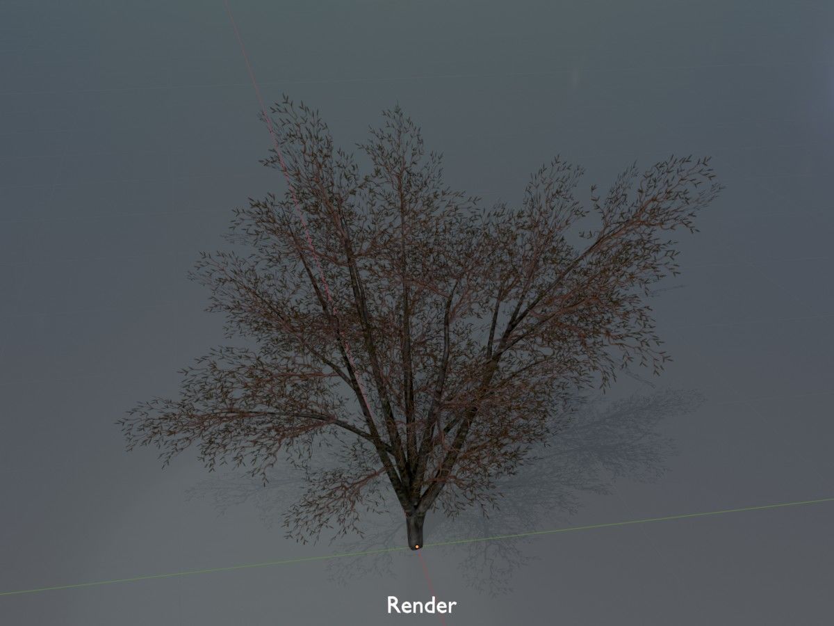 Hazelnut Tree Winter Package 3D Model Collection_26