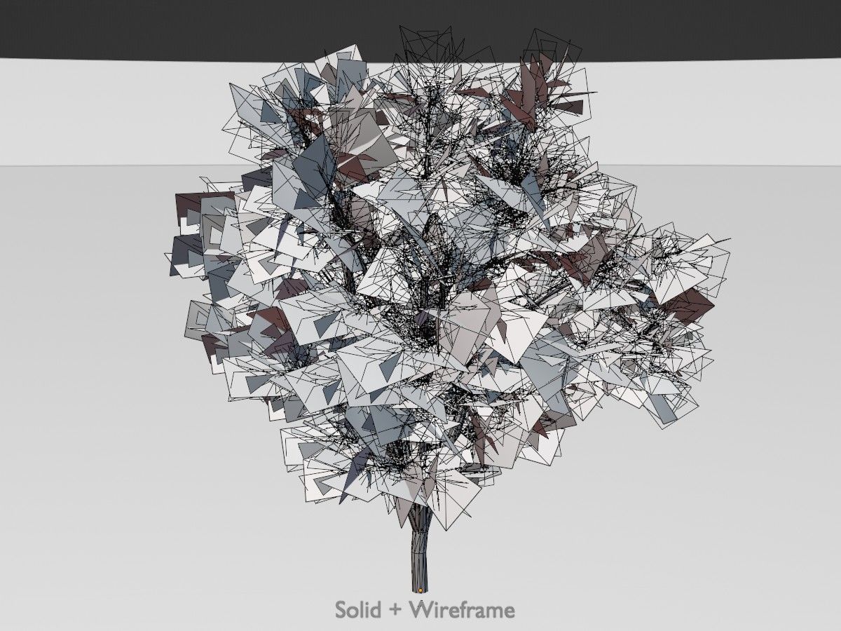 Hazelnut Tree Winter Package 3D Model Collection_62