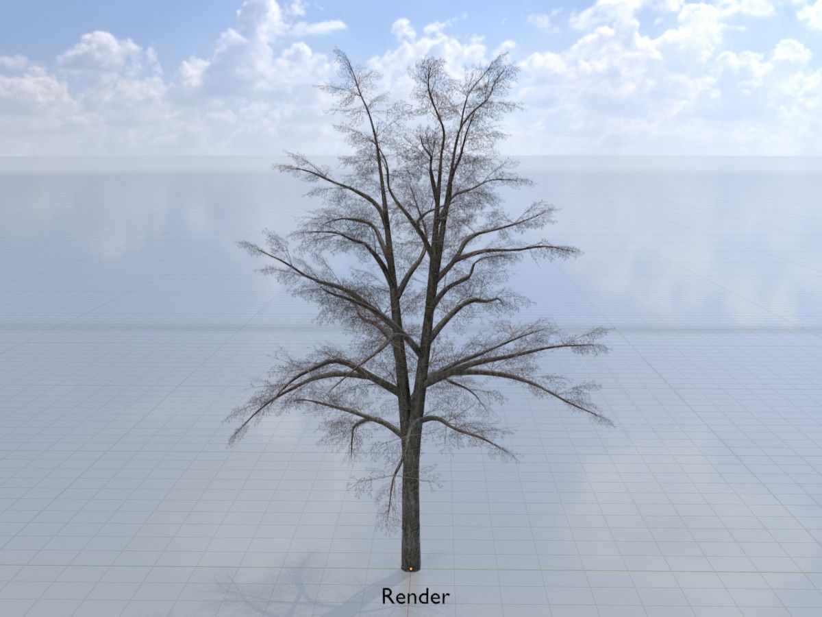 Hazelnut Tree Winter Package 3D Model Collection_84