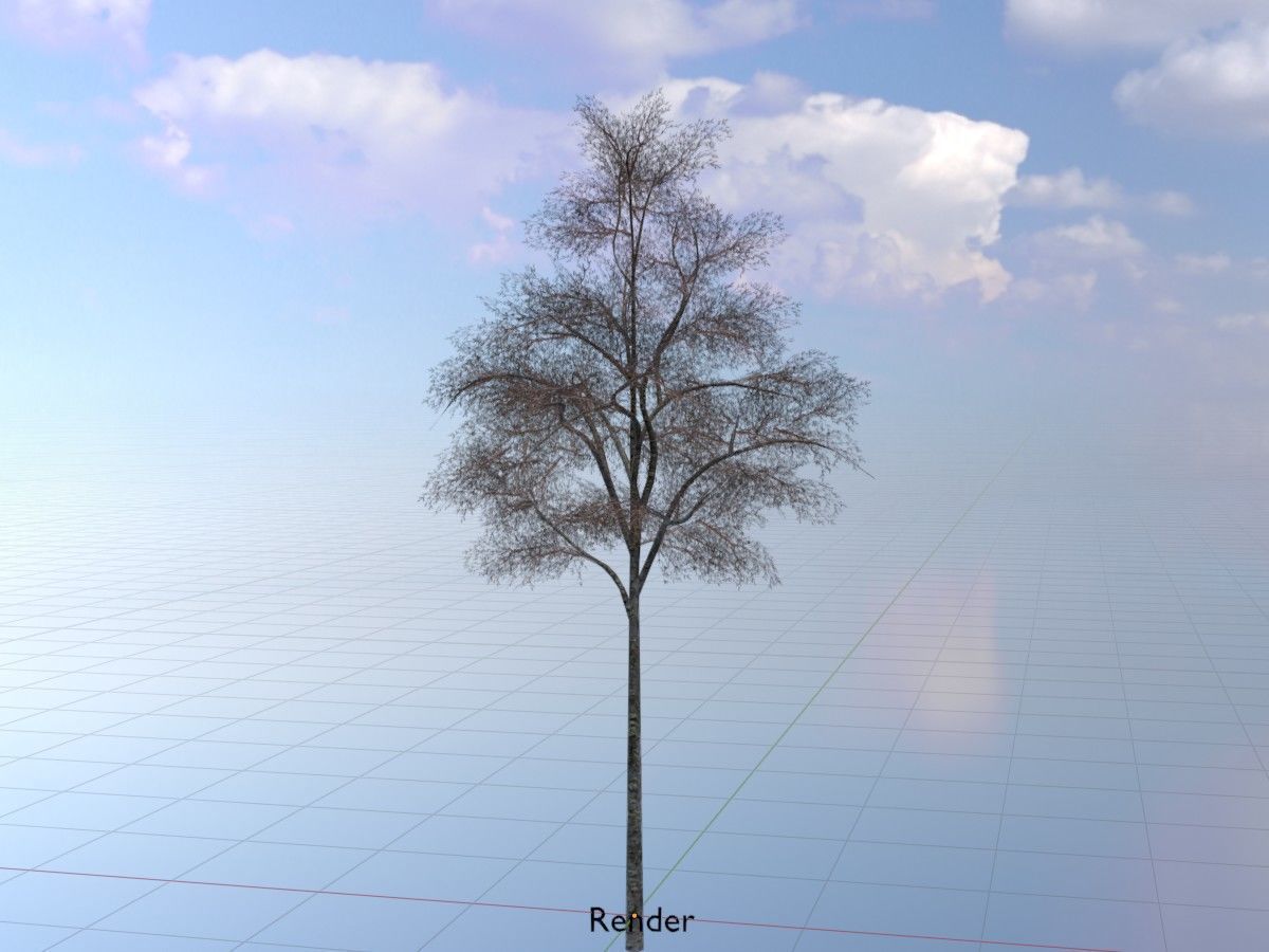 Hazelnut Tree Winter Package 3D Model Collection_49