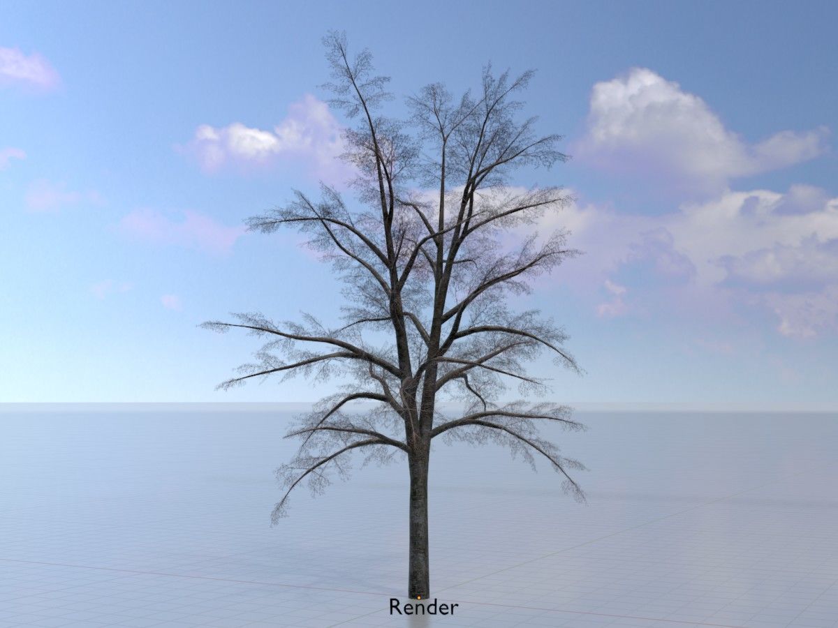 Hazelnut Tree Winter Package 3D Model Collection_105