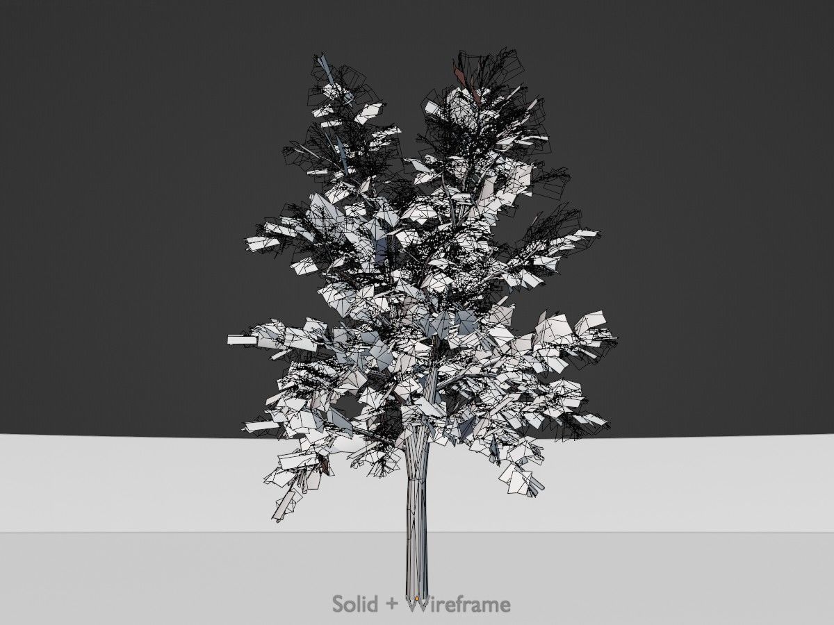 Hazelnut Tree Winter Package 3D Model Collection_101