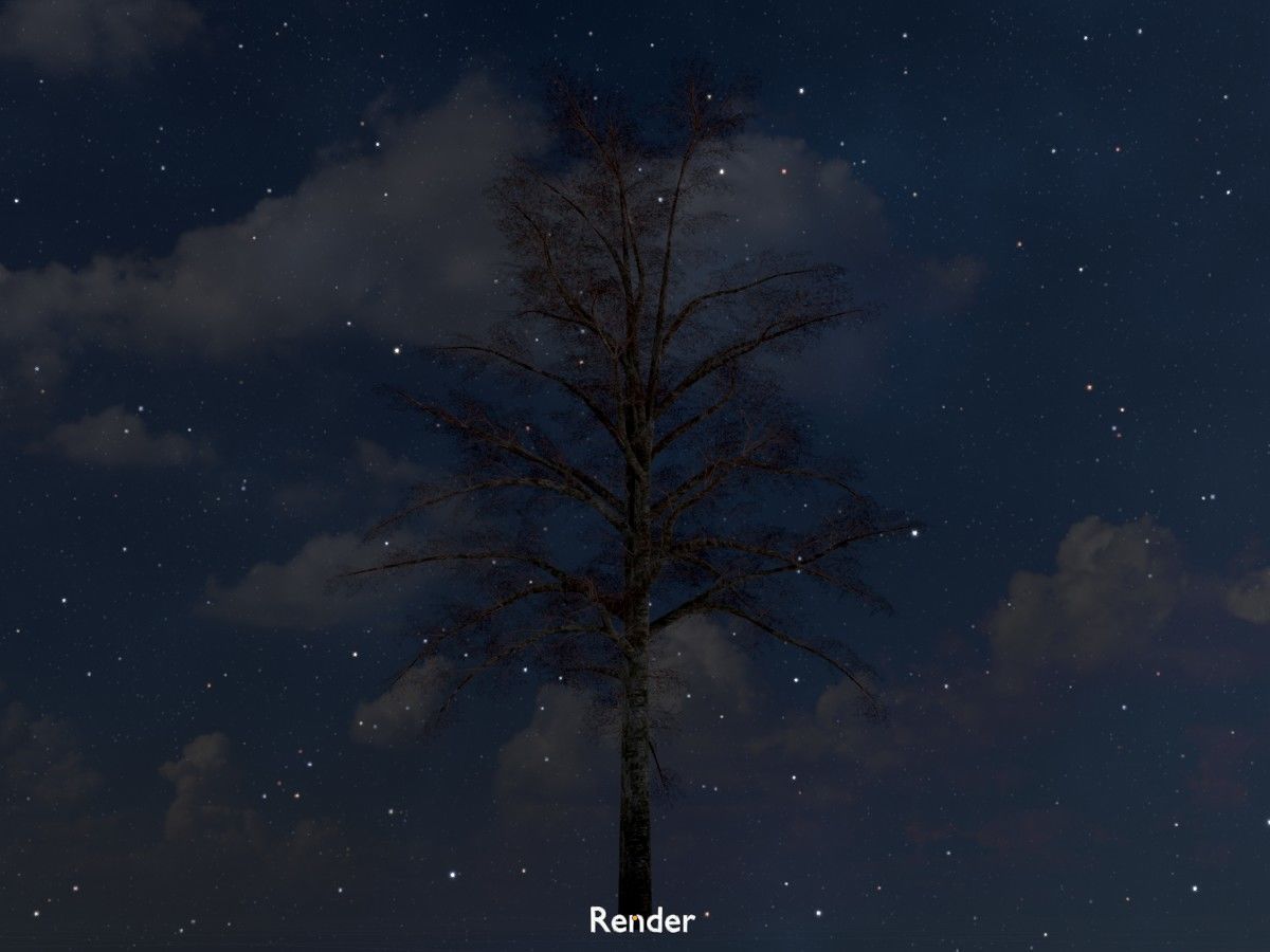 Hazelnut Tree Winter Package 3D Model Collection_110