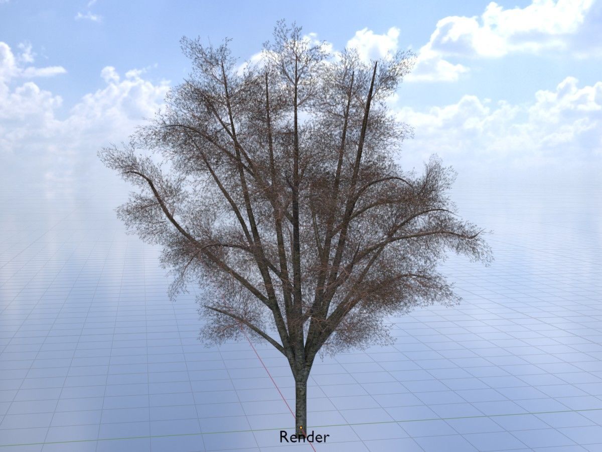 Hazelnut Tree Winter Package 3D Model Collection_68