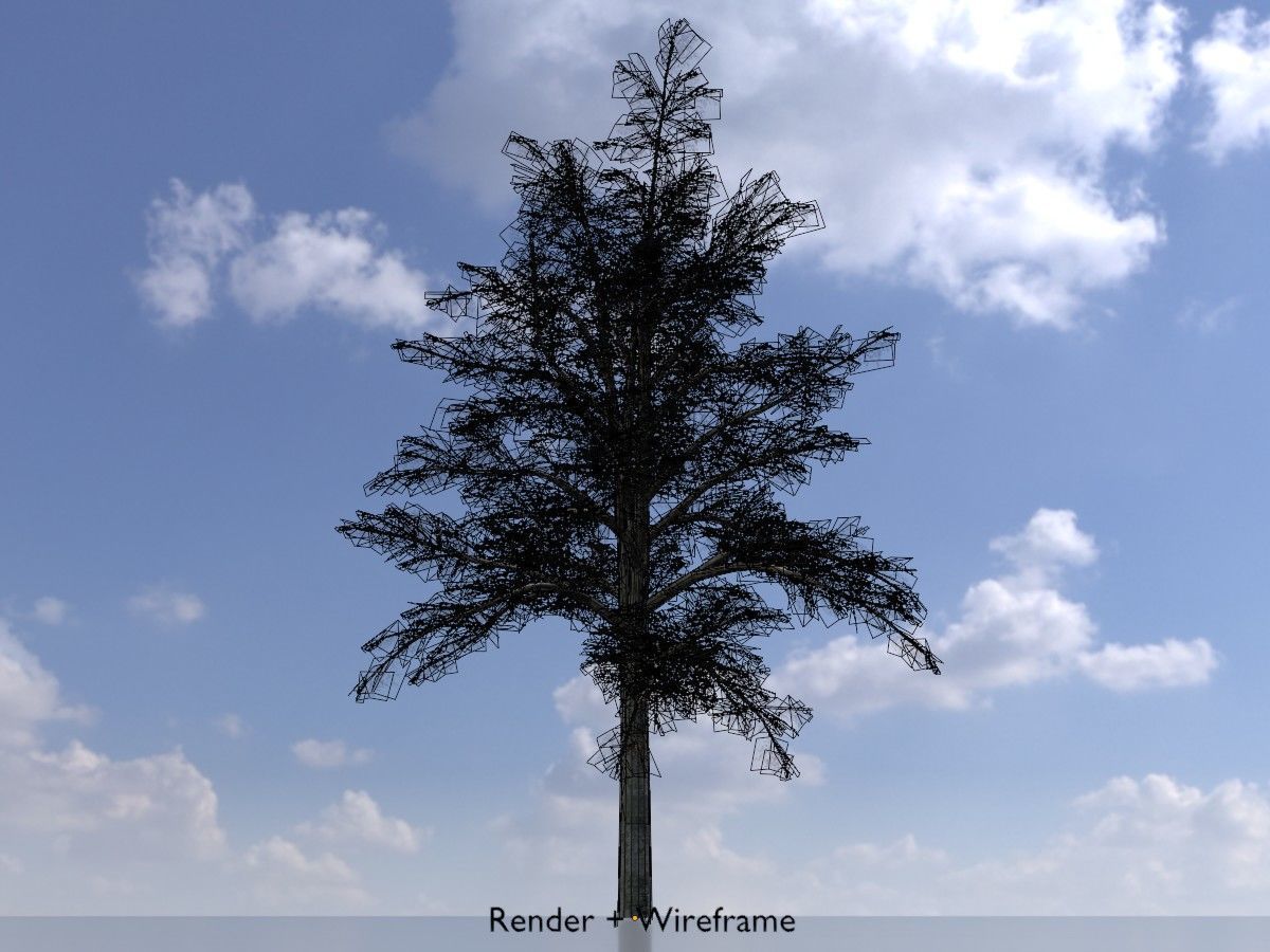 Hazelnut Tree Winter Package 3D Model Collection_96