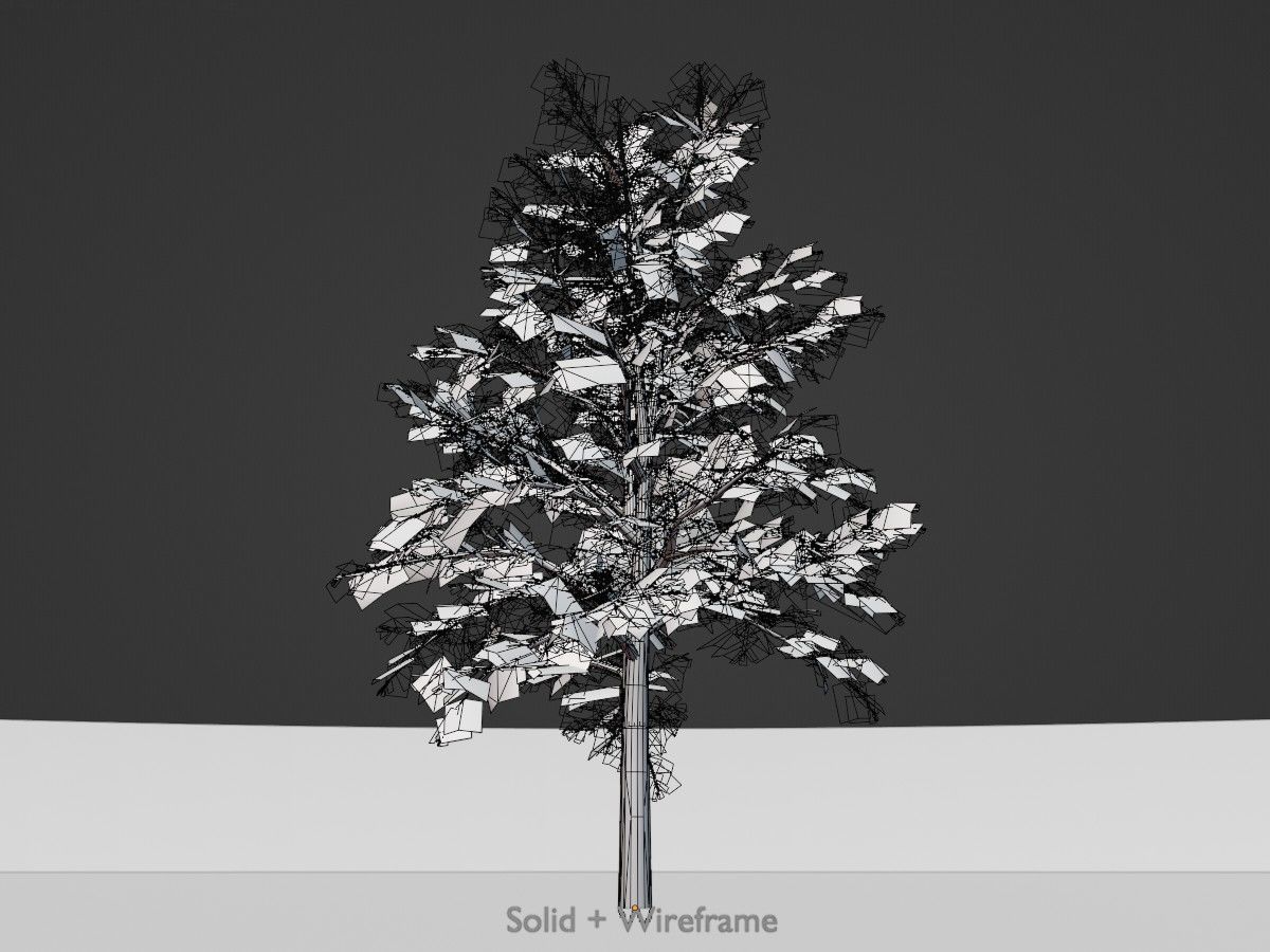 Hazelnut Tree Winter Package 3D Model Collection_80