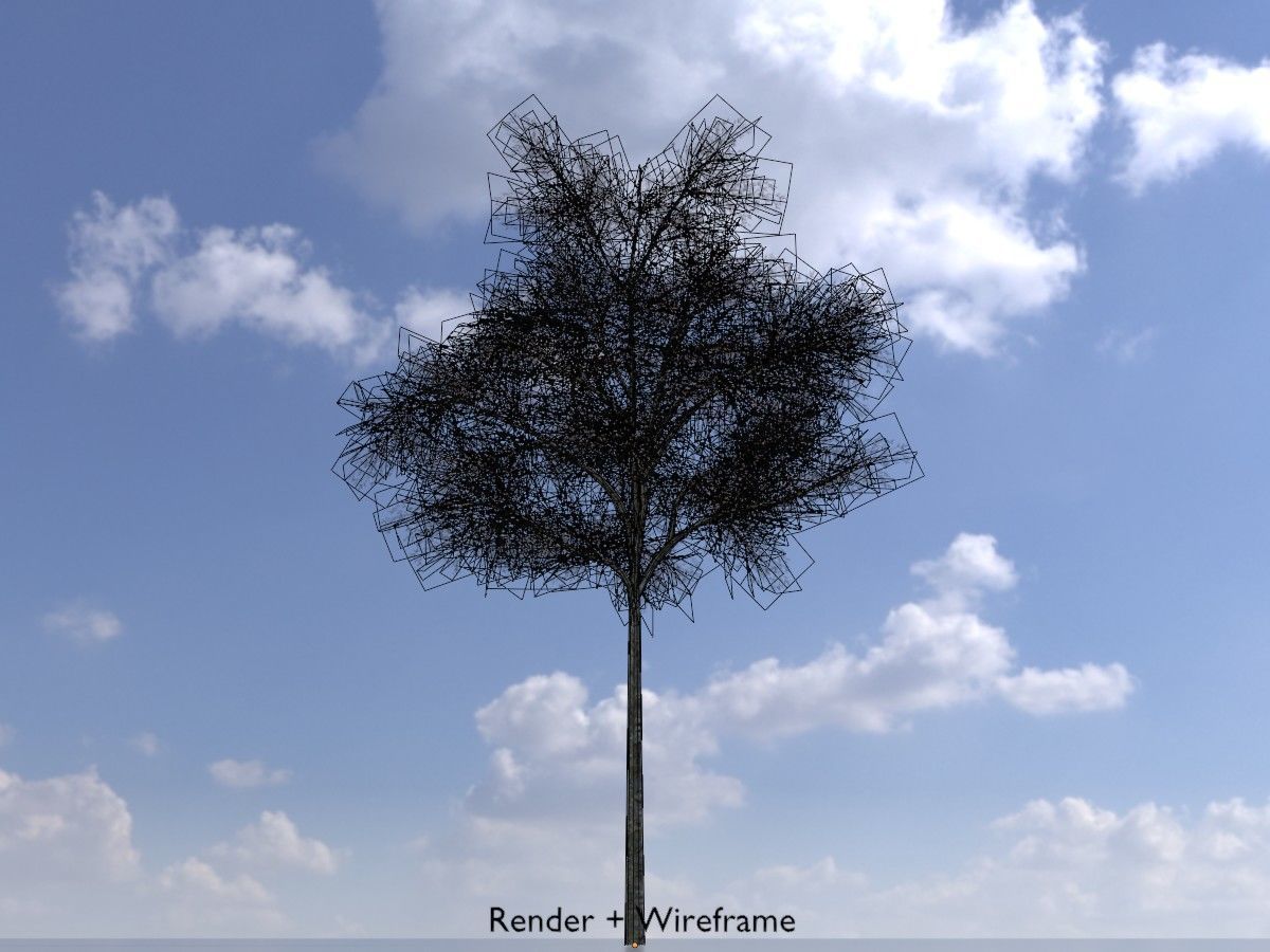 Hazelnut Tree Winter Package 3D Model Collection_36