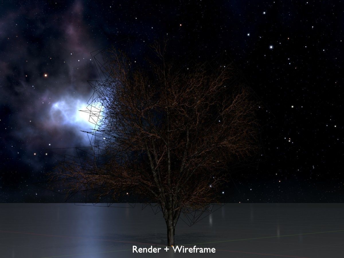 Hazelnut Tree Winter Package 3D Model Collection_17