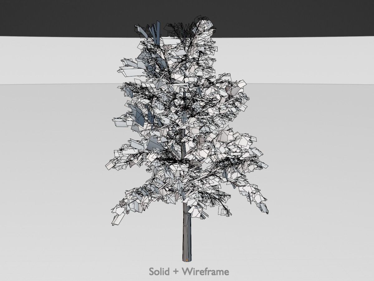 Hazelnut Tree Winter Package 3D Model Collection_102