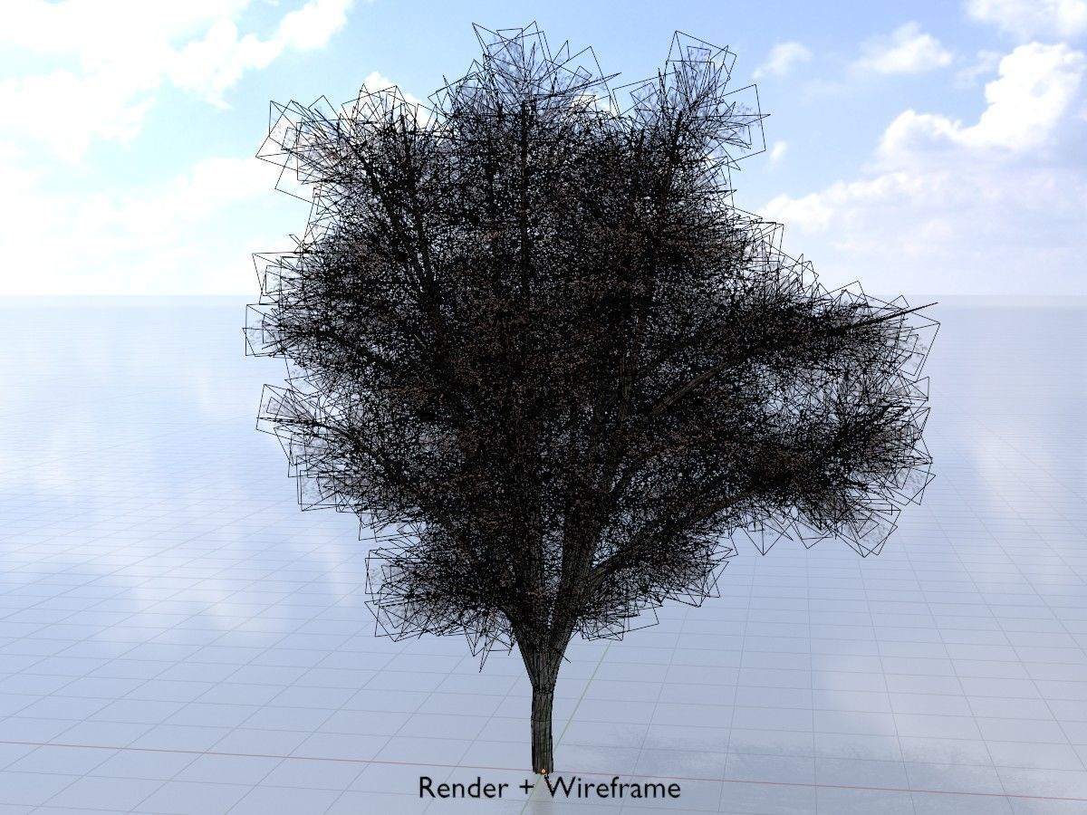 Hazelnut Tree Winter Package 3D Model Collection_55
