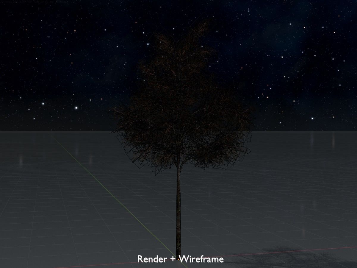 Hazelnut Tree Winter Package 3D Model Collection_38