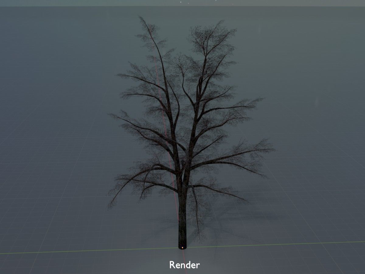 Hazelnut Tree Winter Package 3D Model Collection_106