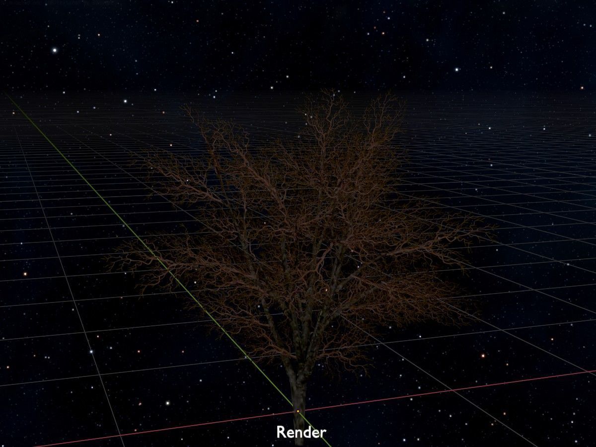 Hazelnut Tree Winter Package 3D Model Collection_27