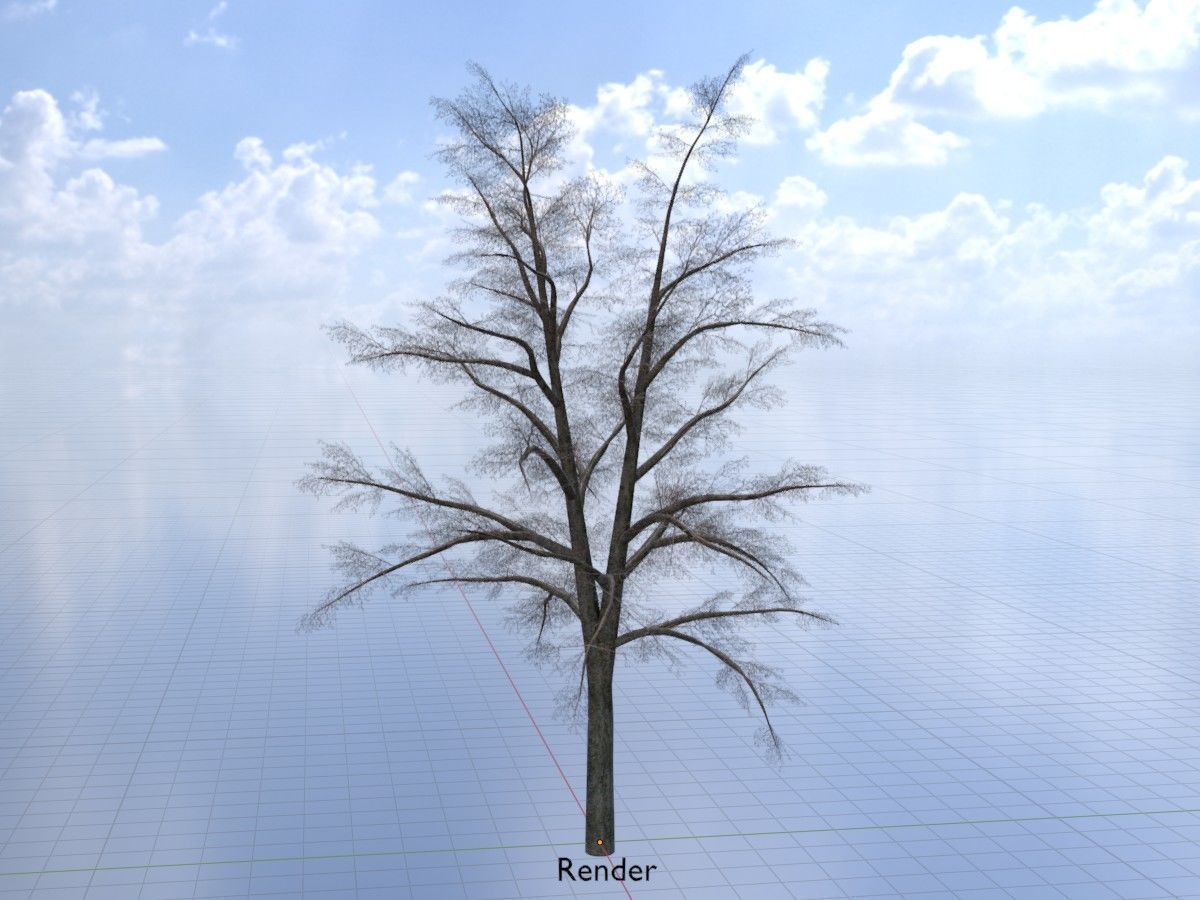Hazelnut Tree Winter Package 3D Model Collection_108