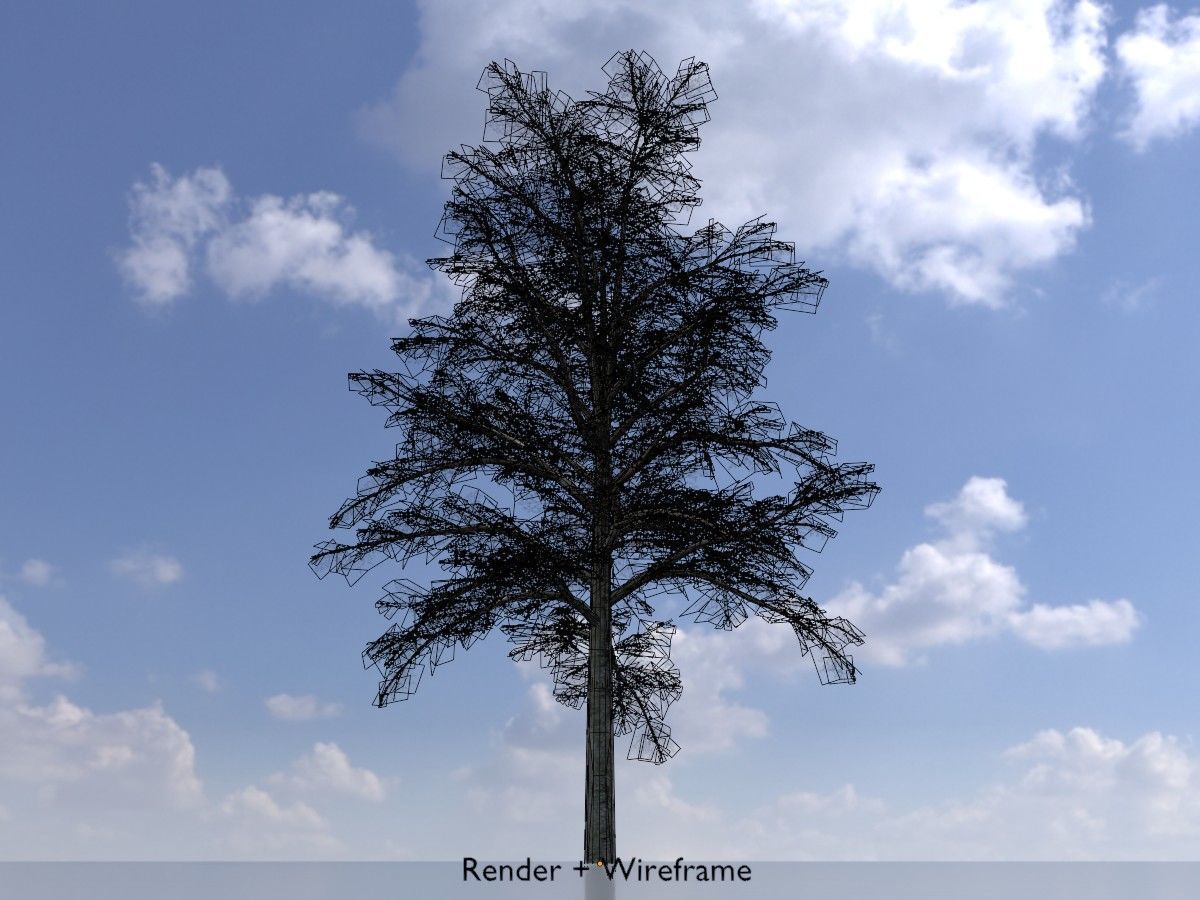 Hazelnut Tree Winter Package 3D Model Collection_76