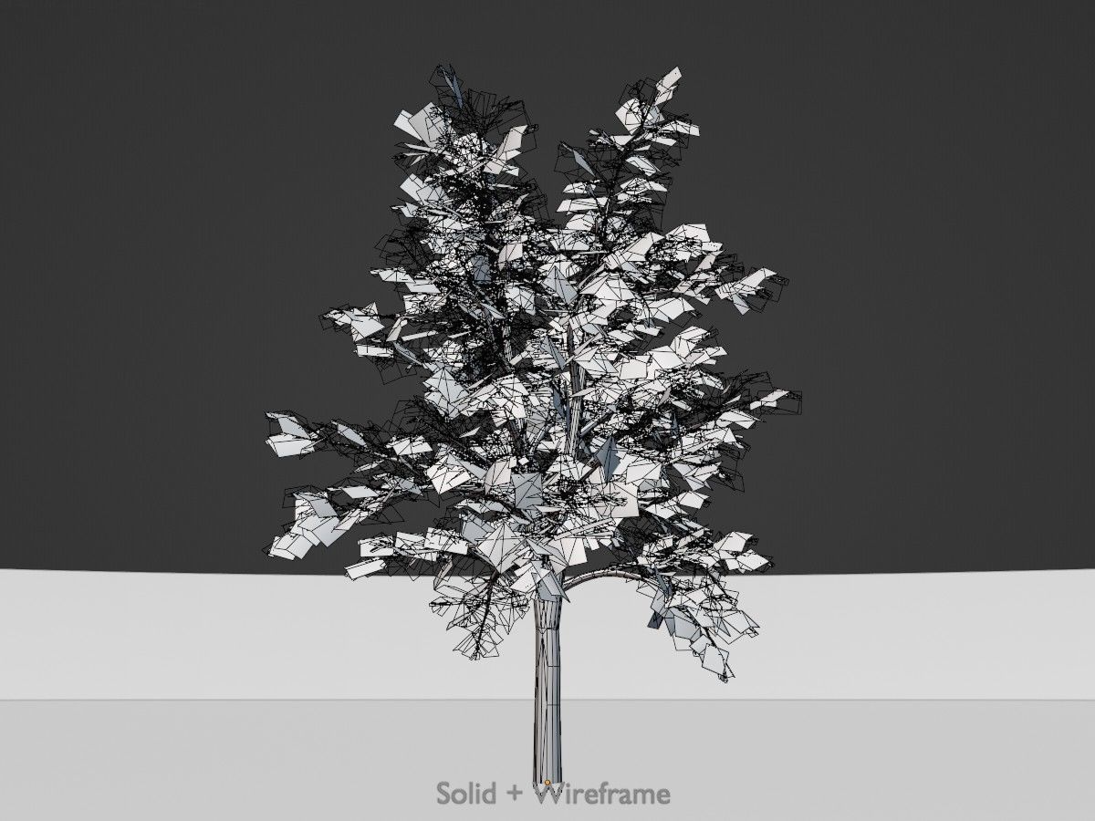 Hazelnut Tree Winter Package 3D Model Collection_81
