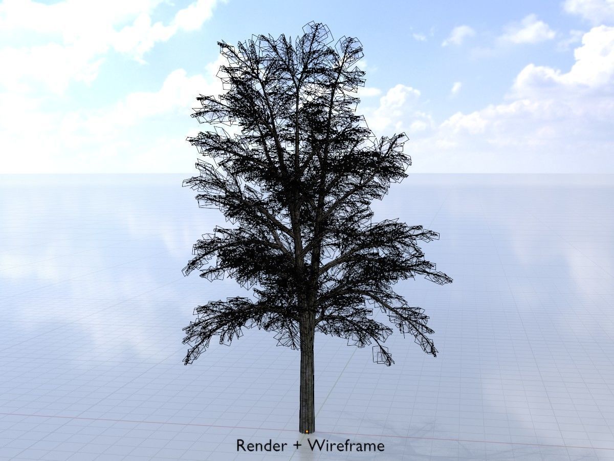 Hazelnut Tree Winter Package 3D Model Collection_95