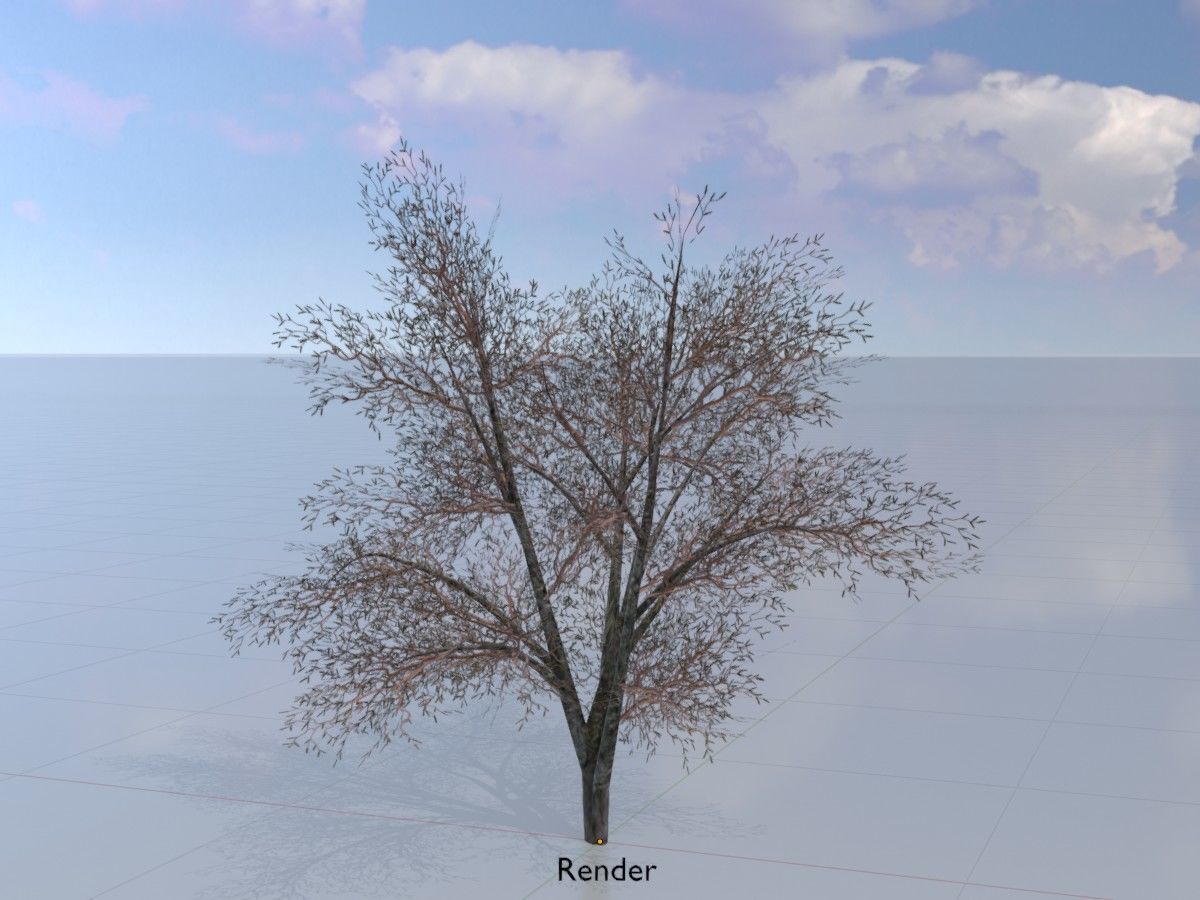 Hazelnut Tree Winter Package 3D Model Collection_25