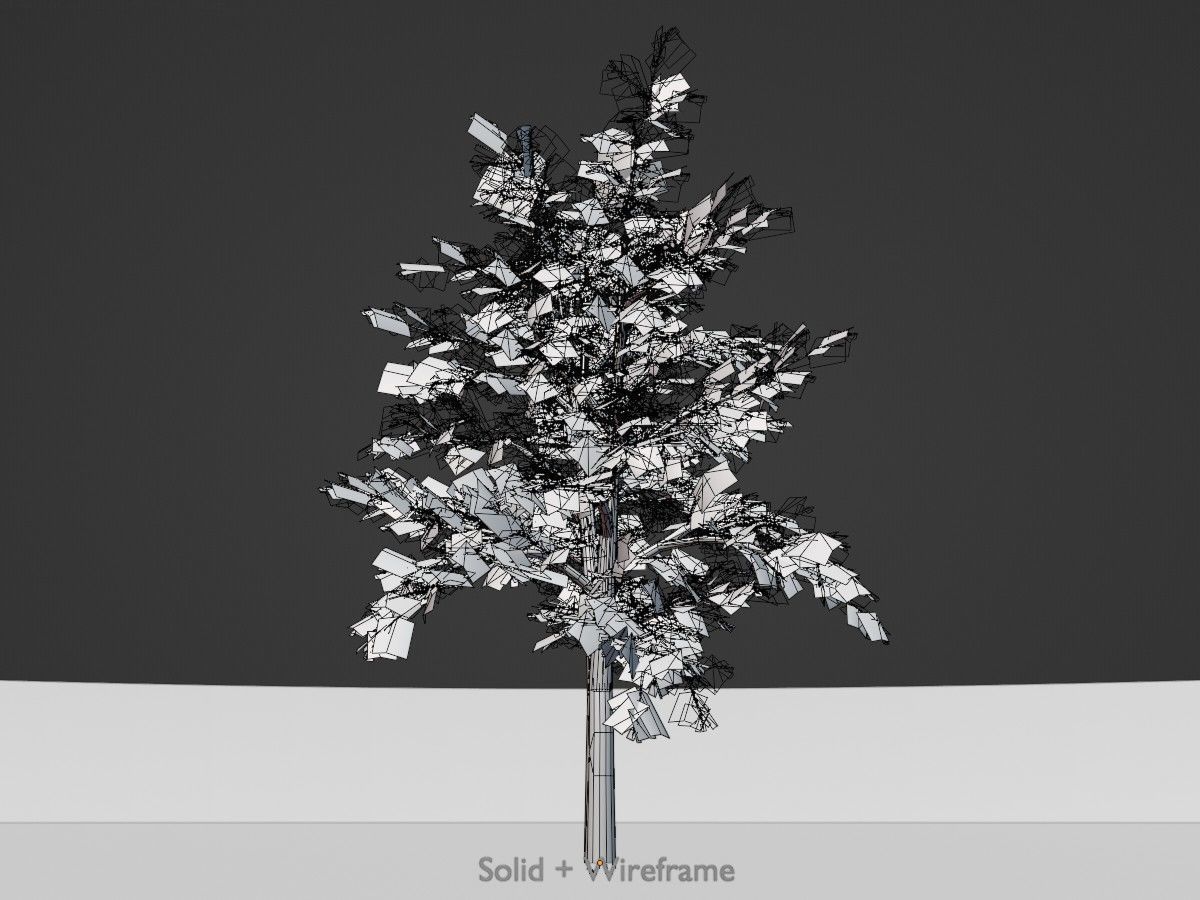 Hazelnut Tree Winter Package 3D Model Collection_100