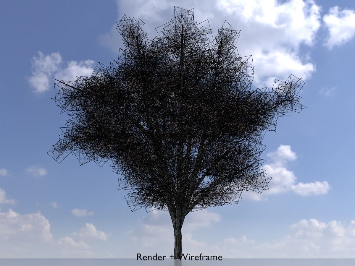 Hazelnut Tree Winter Package 3D Model Collection_56