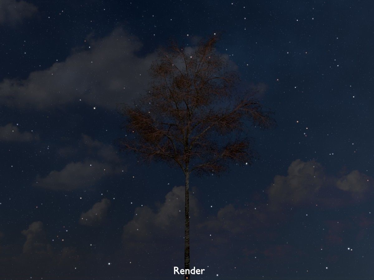 Hazelnut Tree Winter Package 3D Model Collection_50