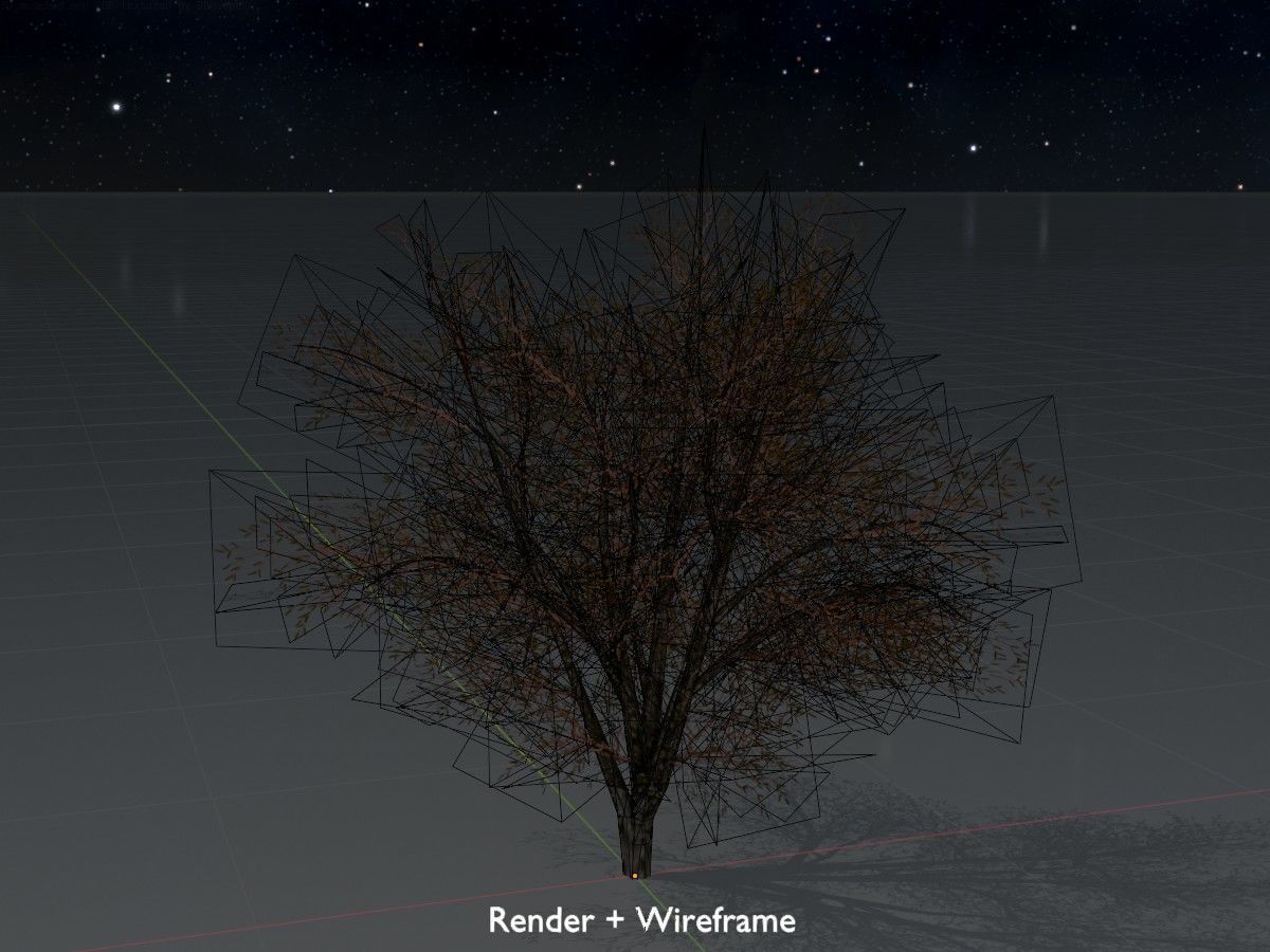 Hazelnut Tree Winter Package 3D Model Collection_18