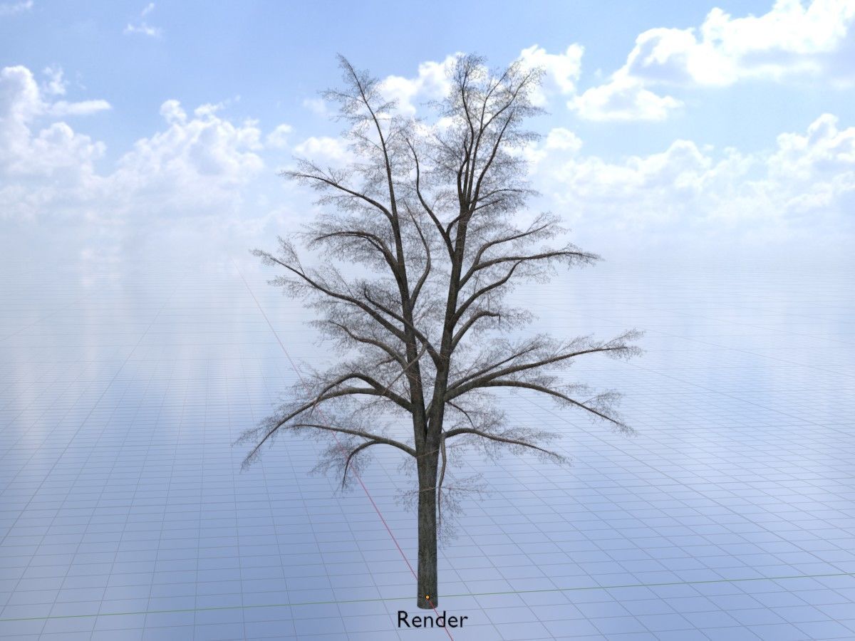 Hazelnut Tree Winter Package 3D Model Collection_88